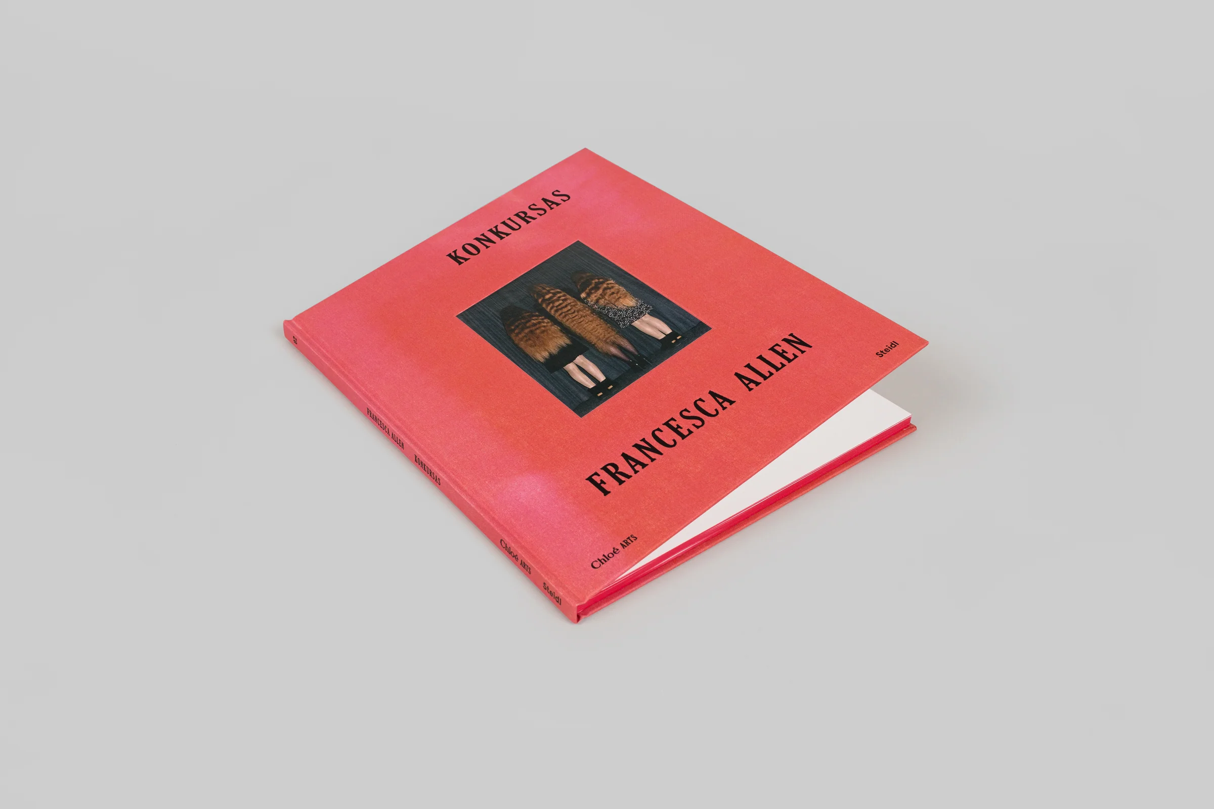 Francesca Allen - Konkursas - Image 4
