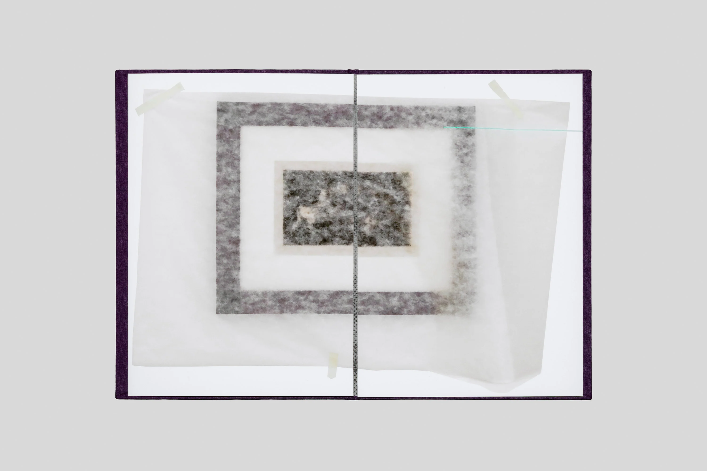 Georges Didi-Huberman - Taureaux psychiques - Image 4