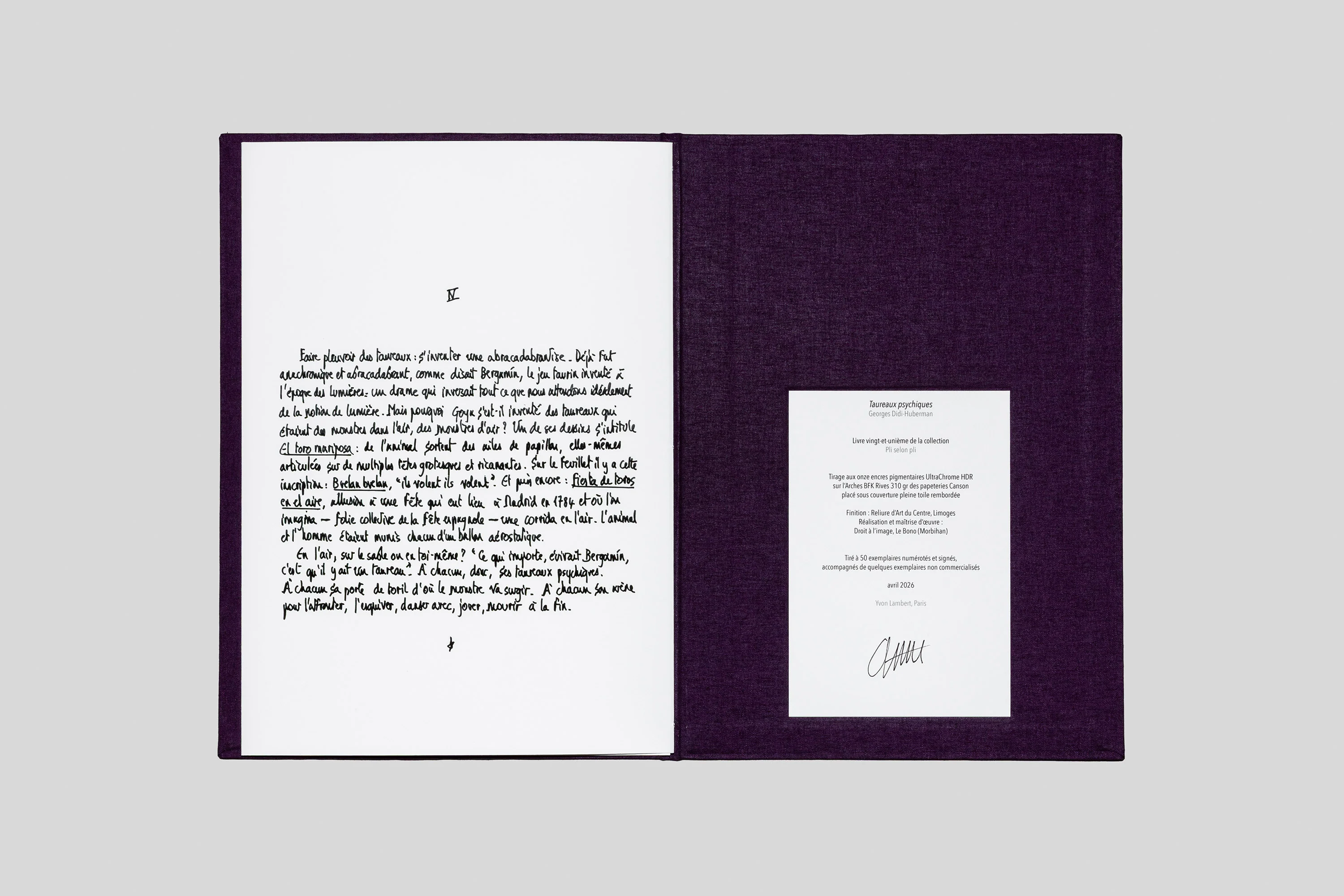 Georges Didi-Huberman - Taureaux psychiques - Image 6