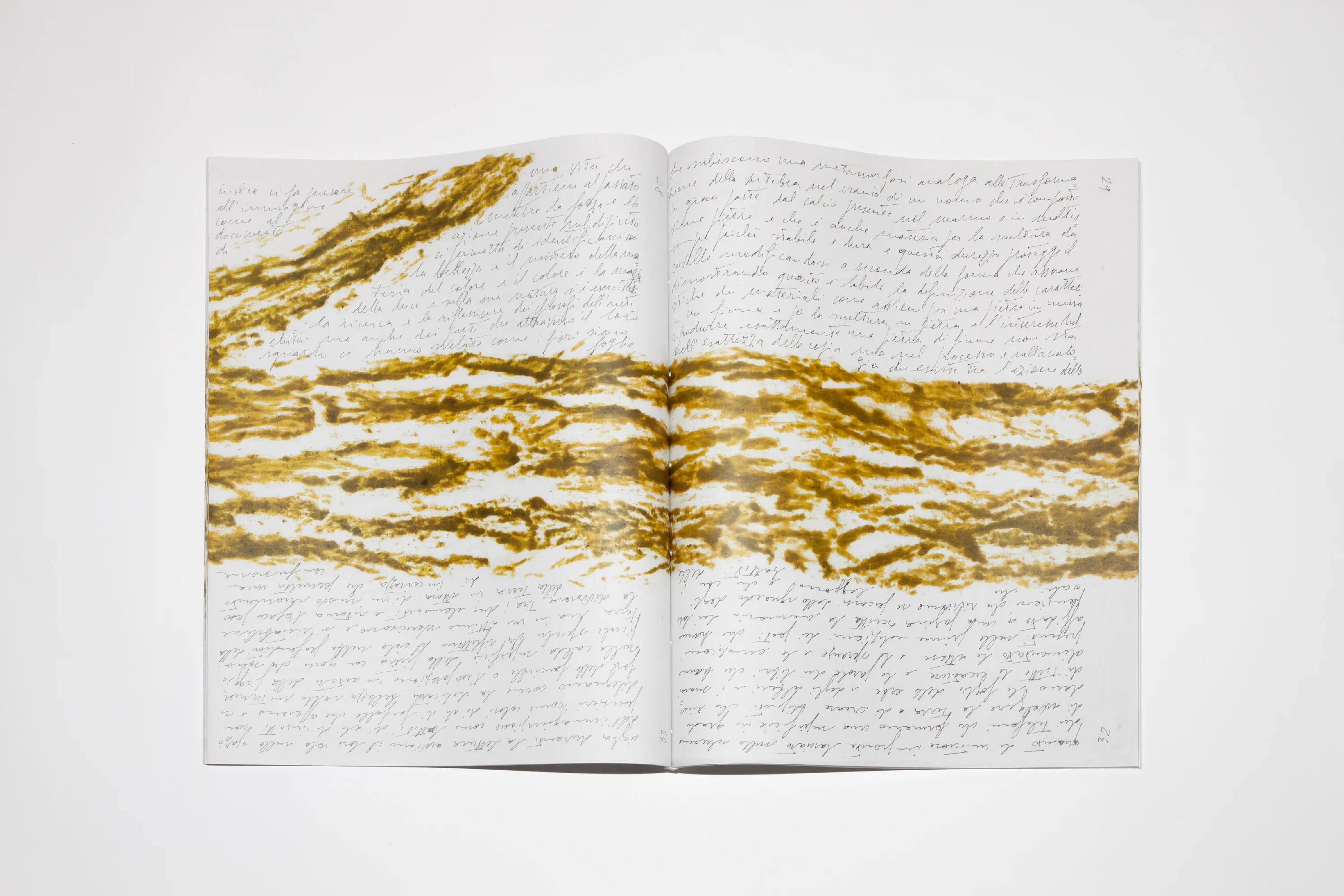Giuseppe Penone - Pensieri e linfa - Image 7
