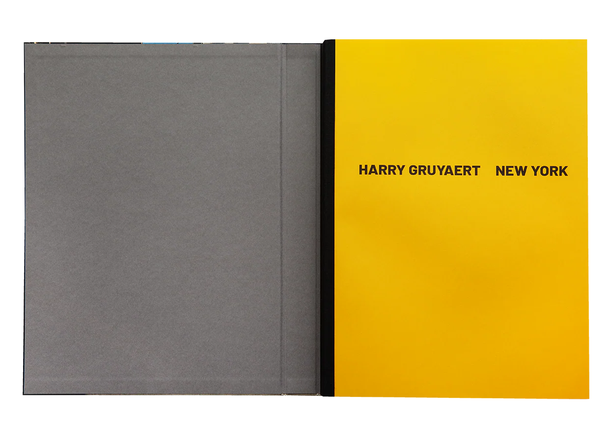 Harry Gruyaert - New York - Image 2