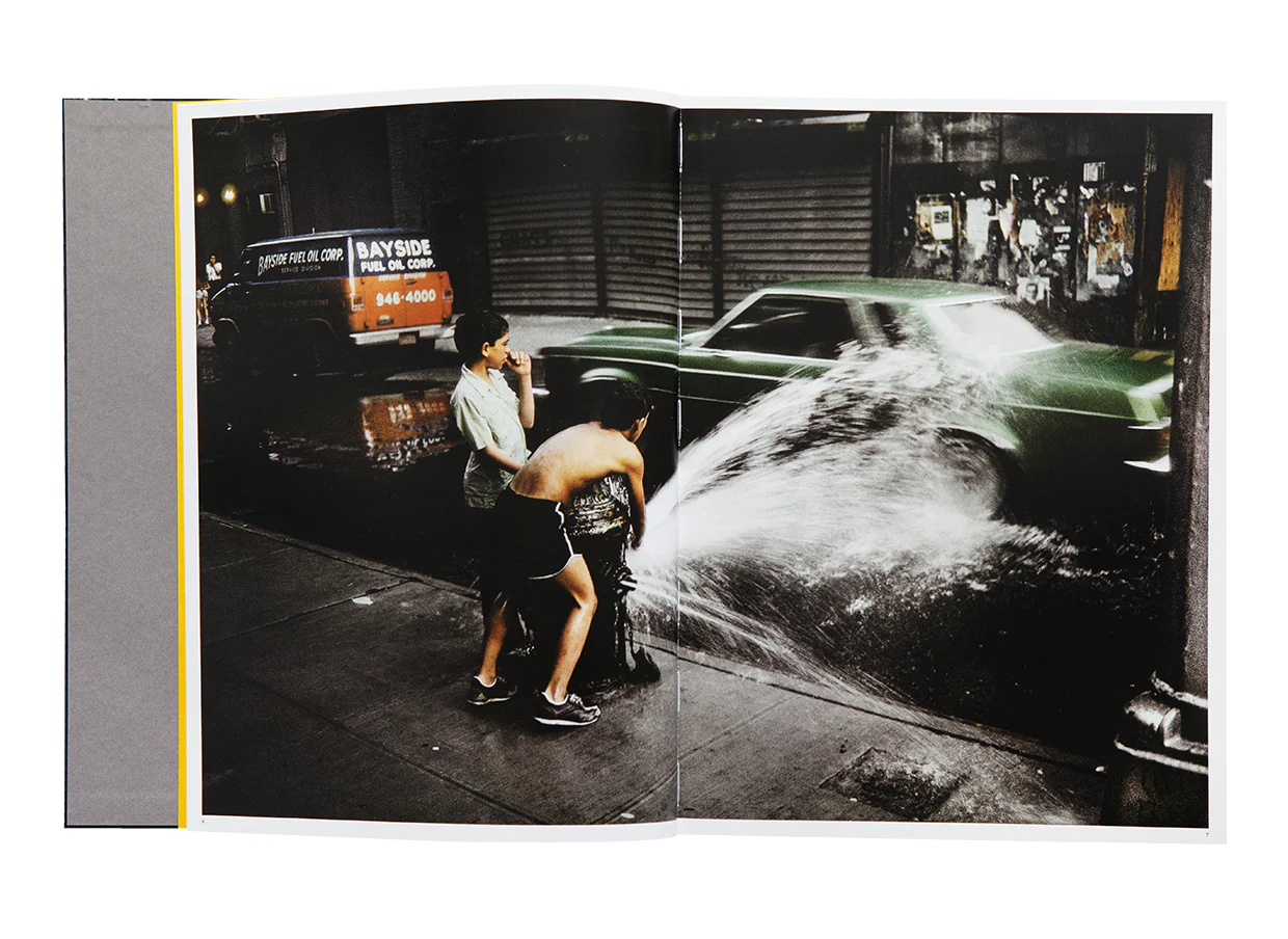 Harry Gruyaert - New York - Image 4