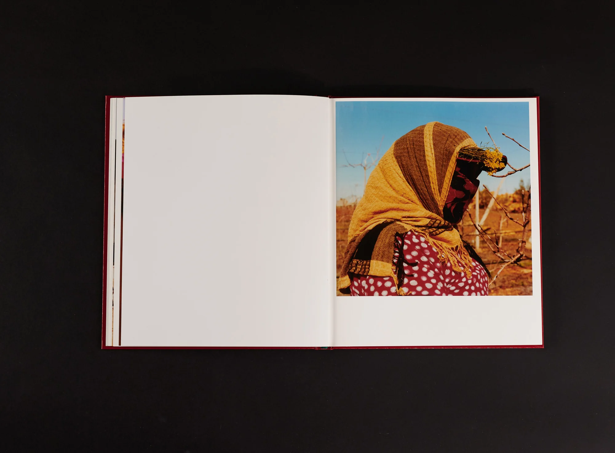 Ilyes Griyeb - Morocco - Image 16