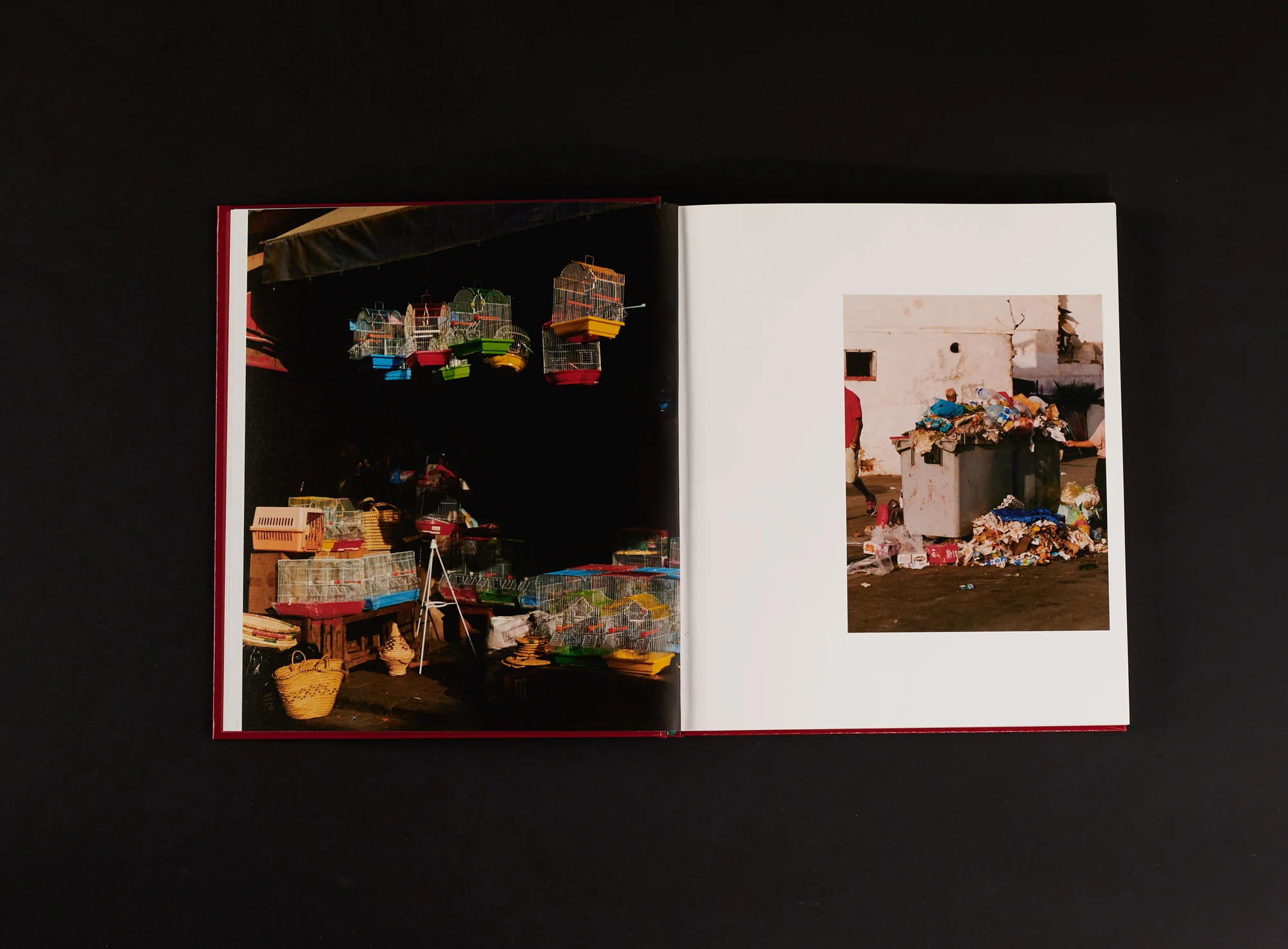 Ilyes Griyeb - Morocco - Image 6