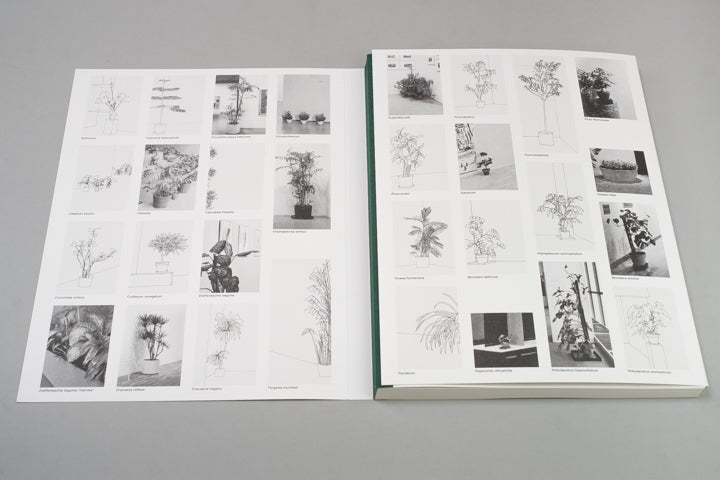 Inge Meijer - The MoMA Plant Collection - Image 3