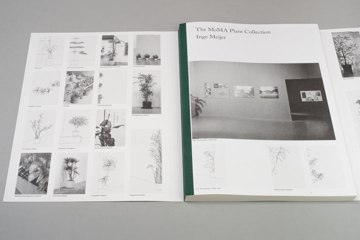 Inge Meijer - The MoMA Plant Collection - Image 4