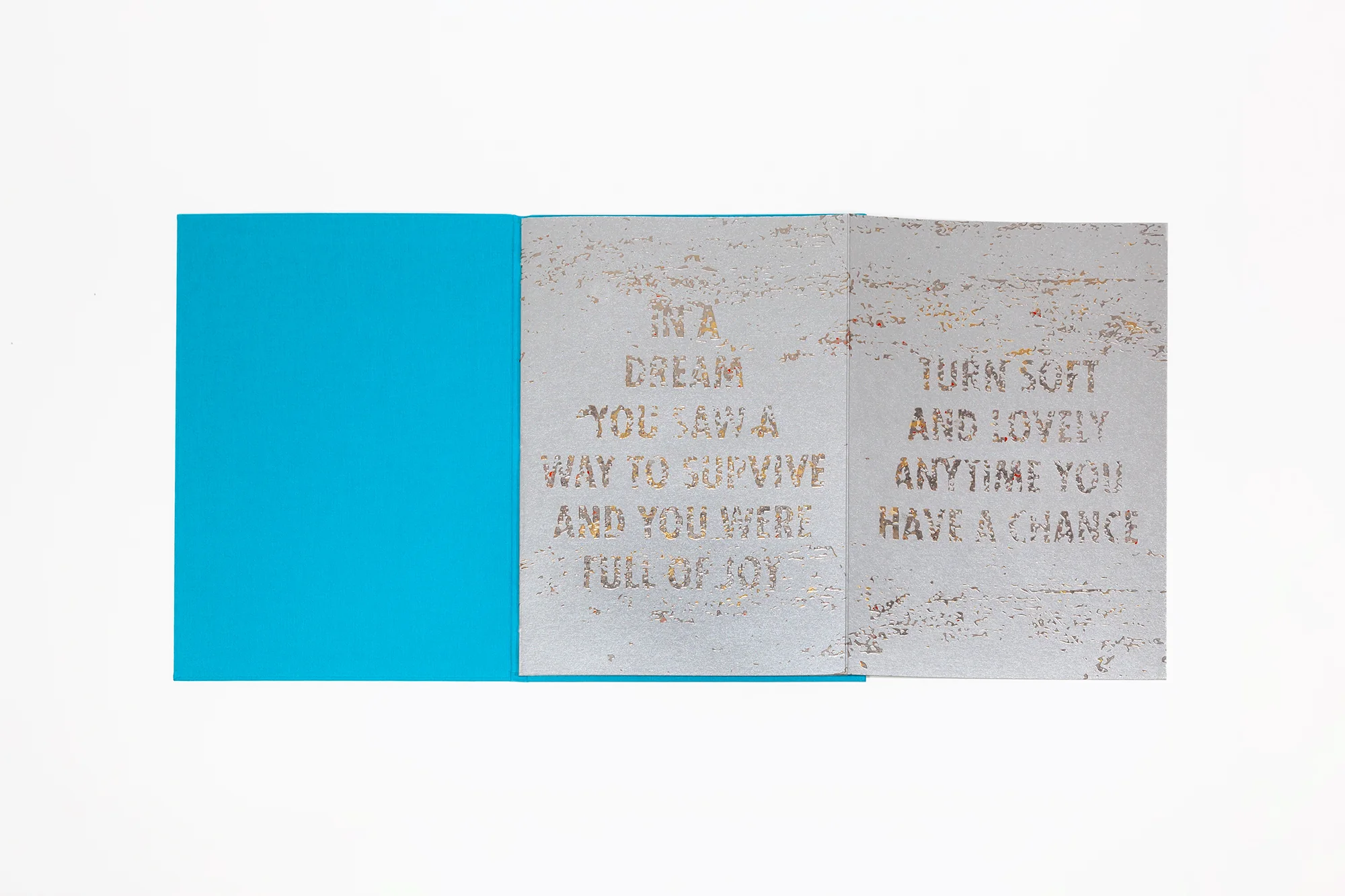 Jenny Holzer - Tender - Image 10