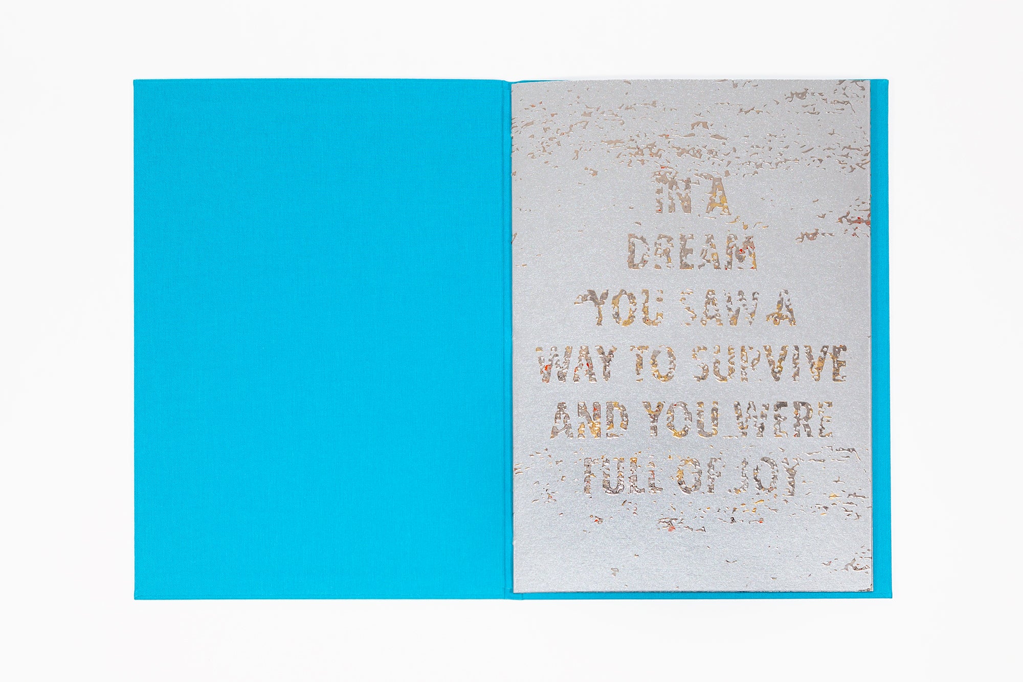 Jenny Holzer - Tender - Image 4