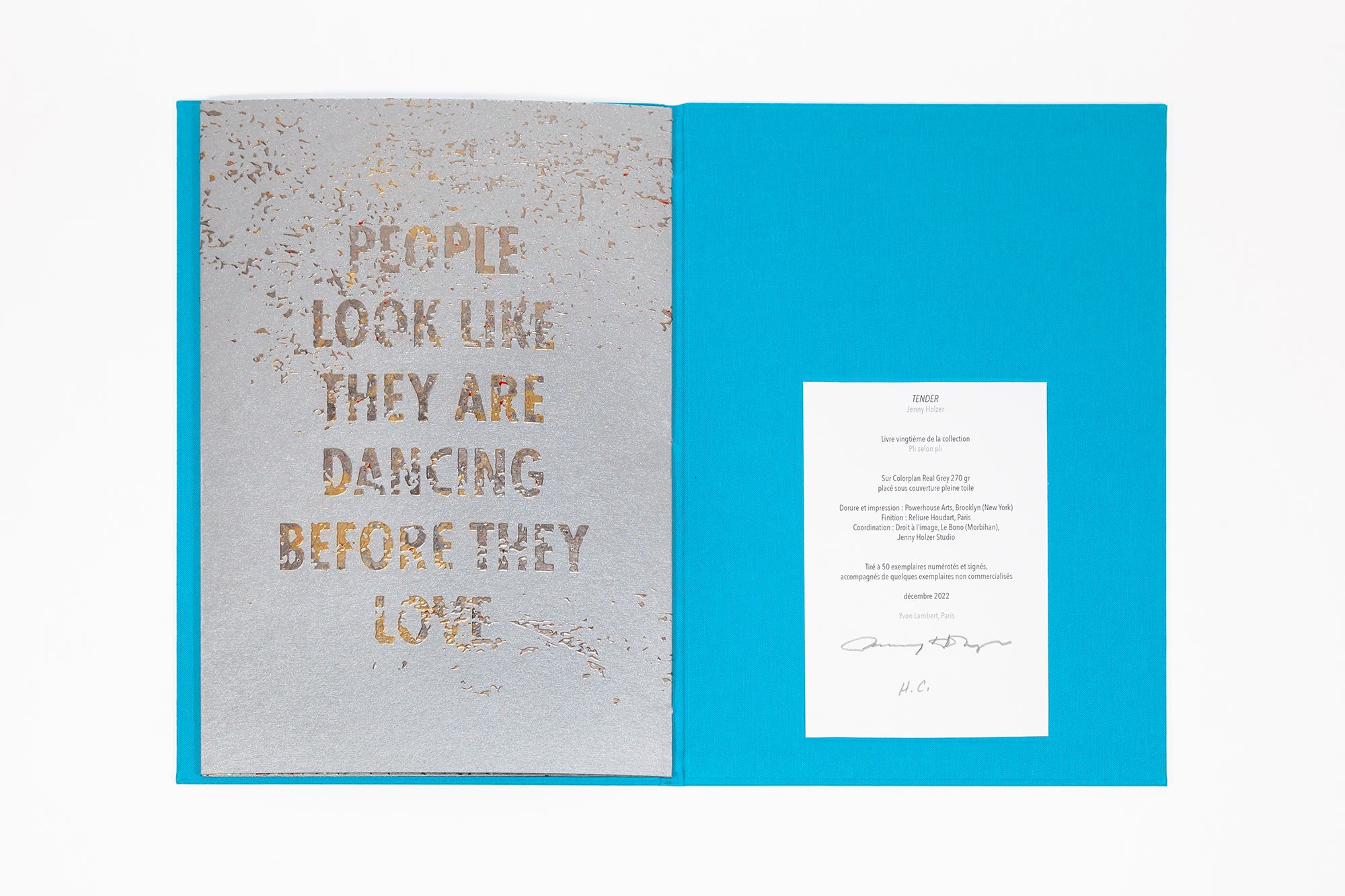 Jenny Holzer - Tender - Image 6