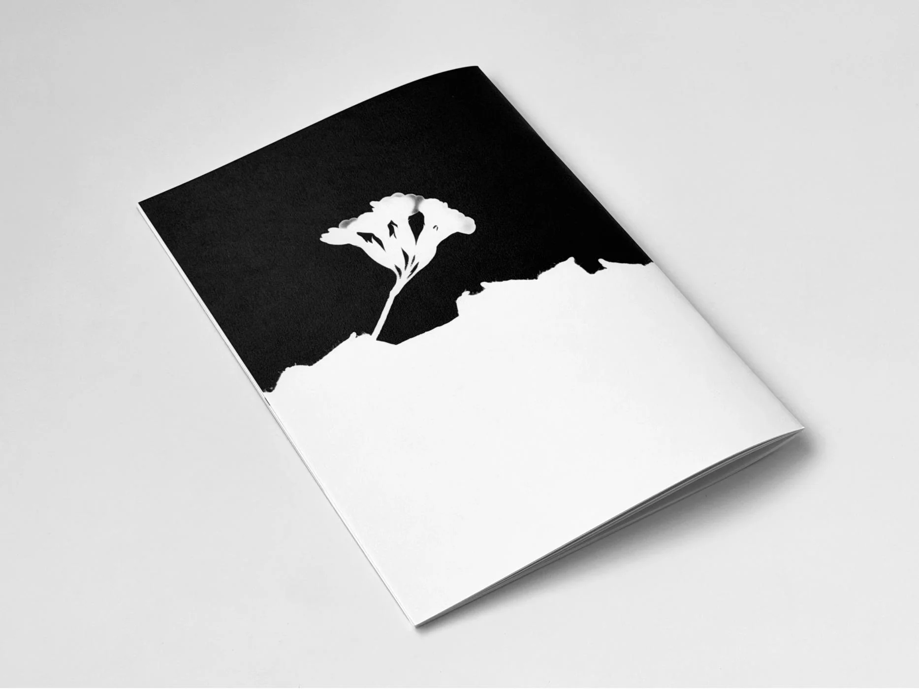 Jochen Lempert - Hakage - Image 2