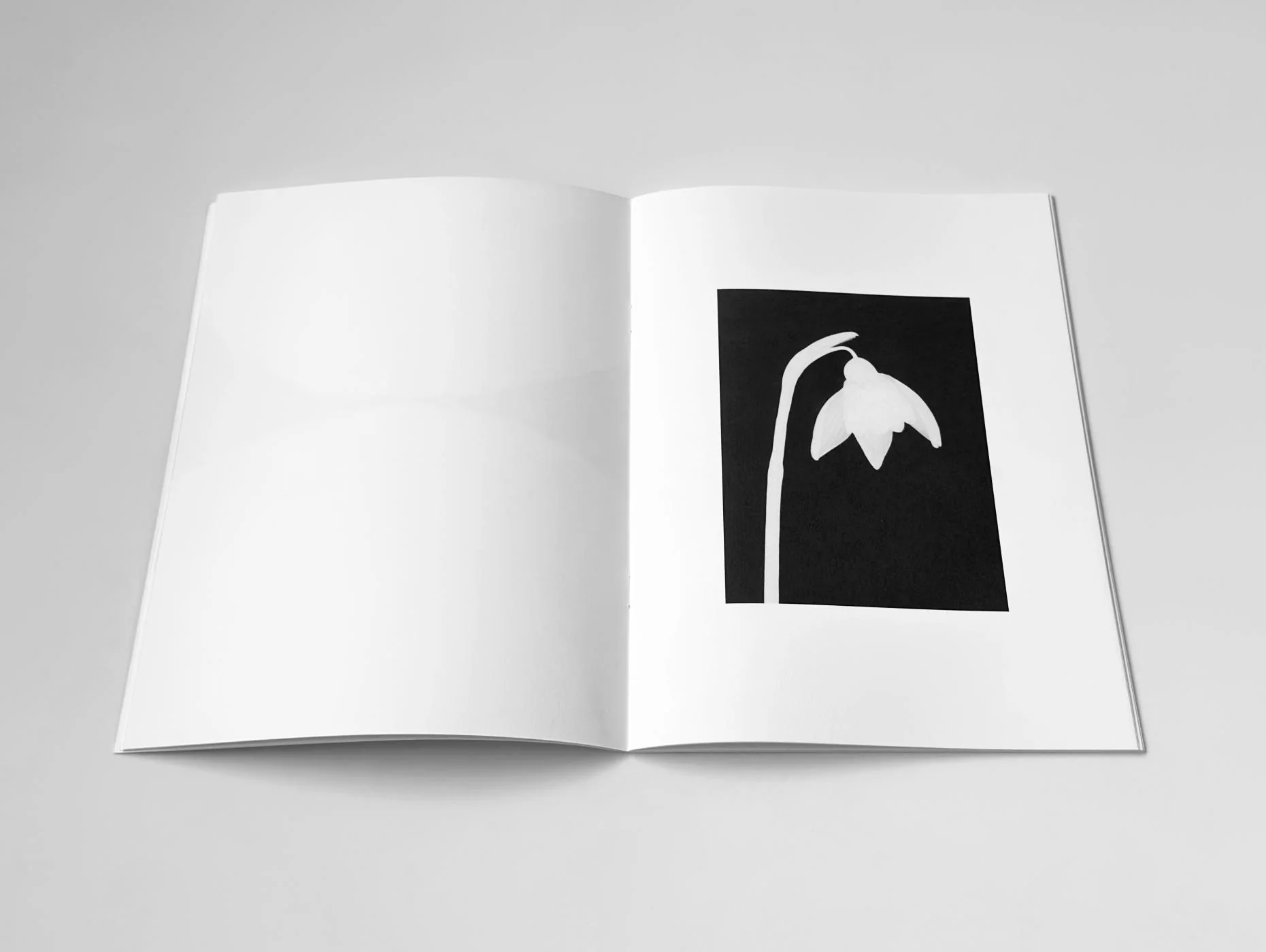 Jochen Lempert - Hakage - Image 5