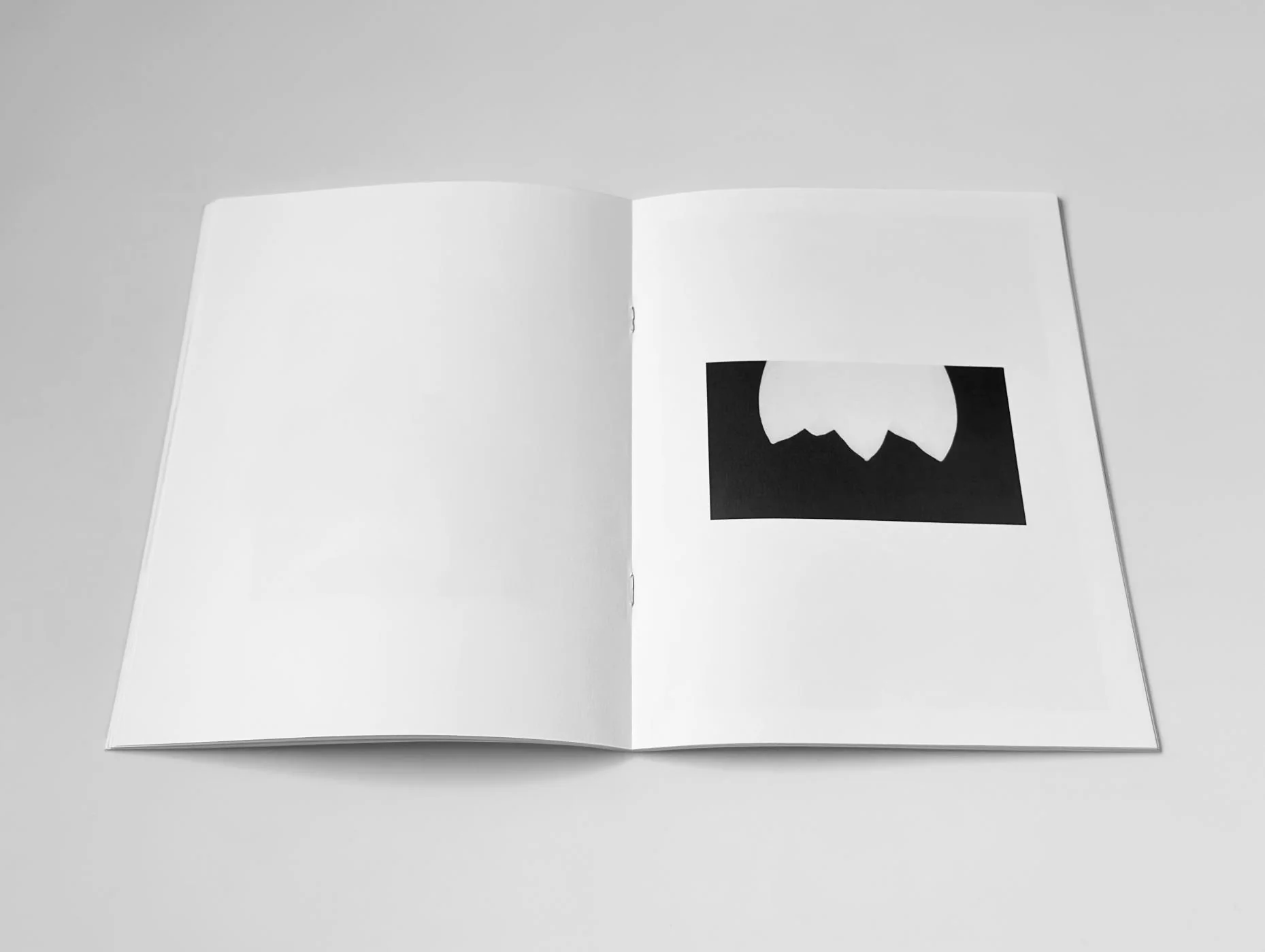 Jochen Lempert - Hakage - Image 6