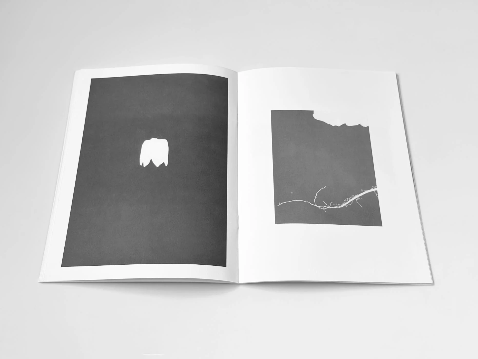 Jochen Lempert - Hakage - Image 7