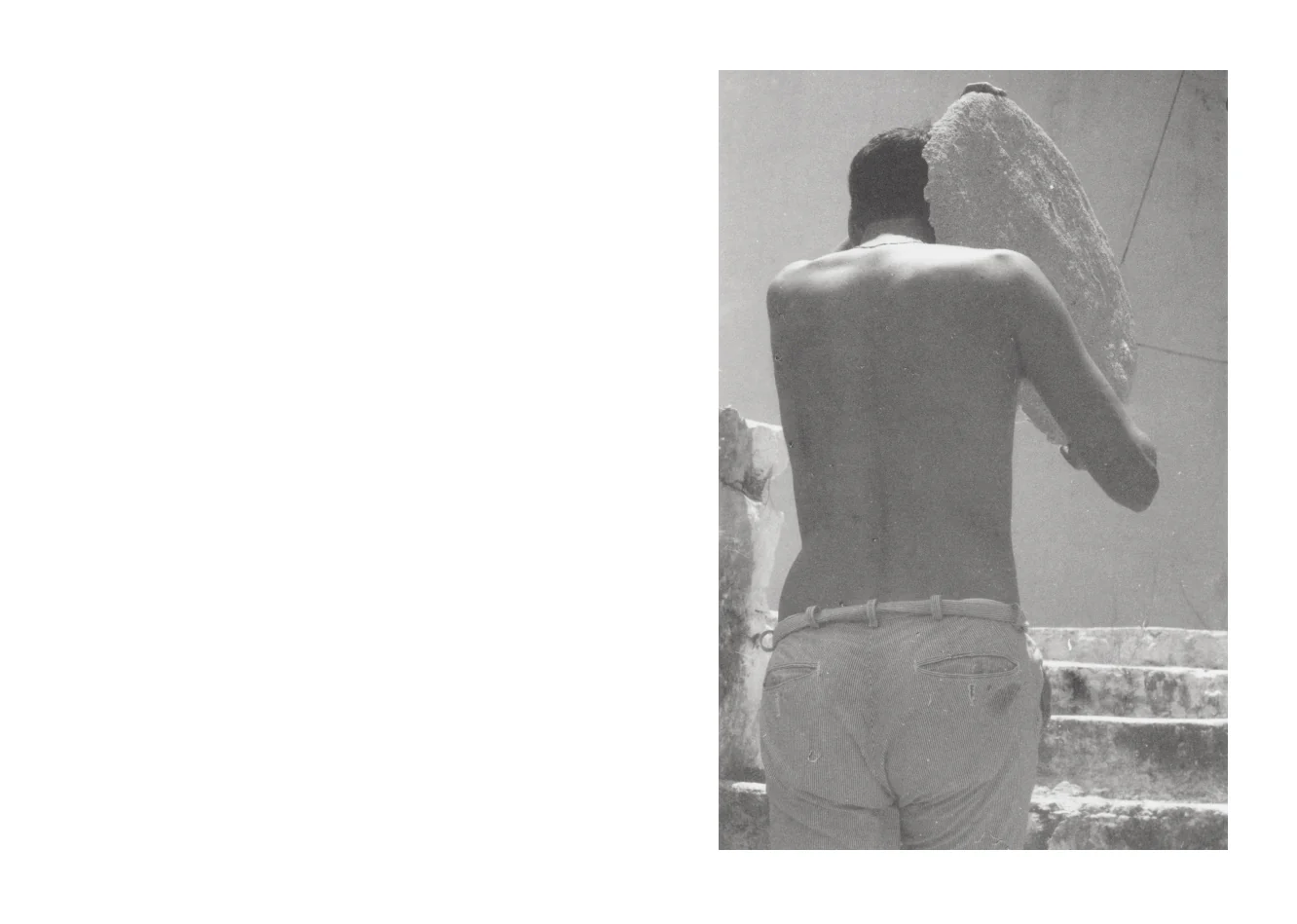 Jochen Lempert - Local Ecology - Kastellorizo - Image 6
