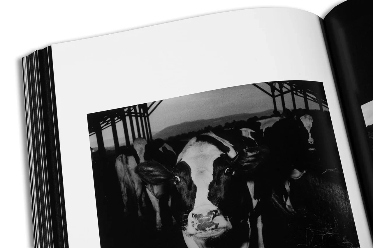 Joel Smith - Hujar:Contact - Image 32