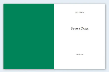 John Divola - Seven Dogs - Image 3