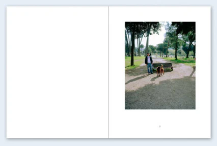 John Divola - Seven Dogs - Image 4