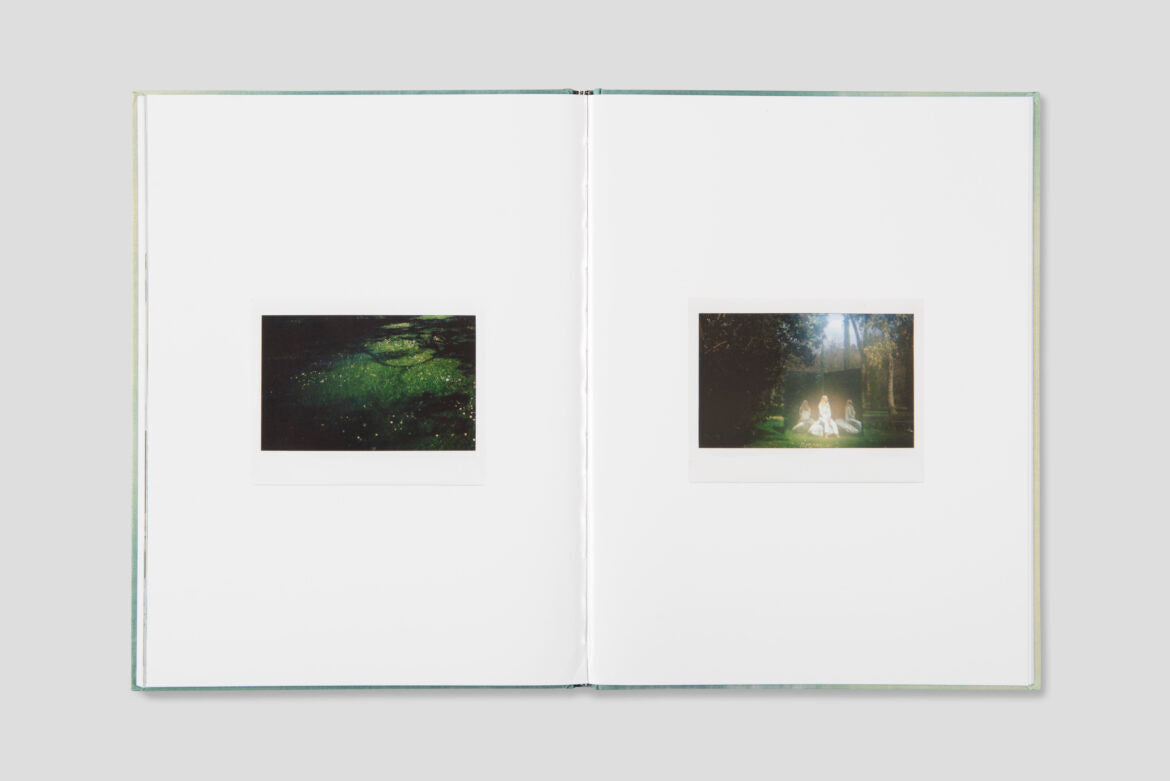 Julien Carreyn - Le Moulin des Ribes - Image 11