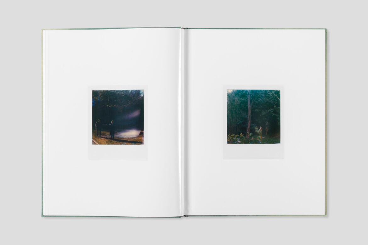 Julien Carreyn - Le Moulin des Ribes - Image 6