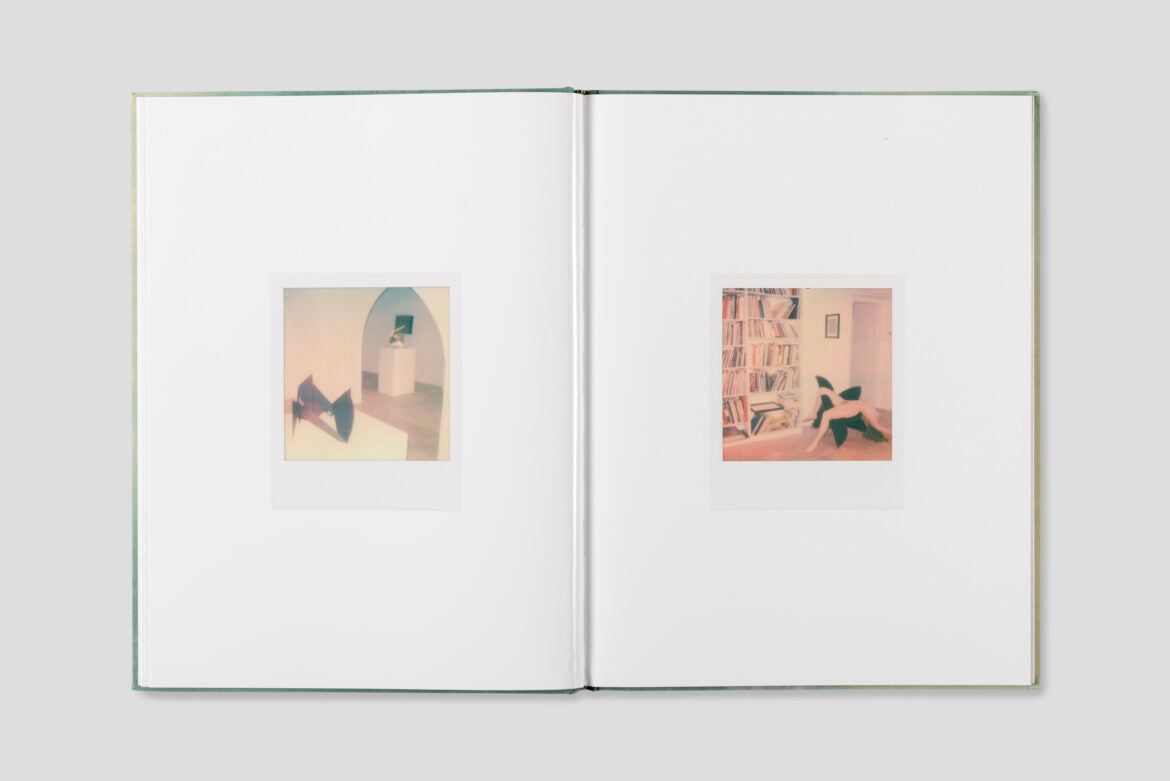 Julien Carreyn - Le Moulin des Ribes - Image 7