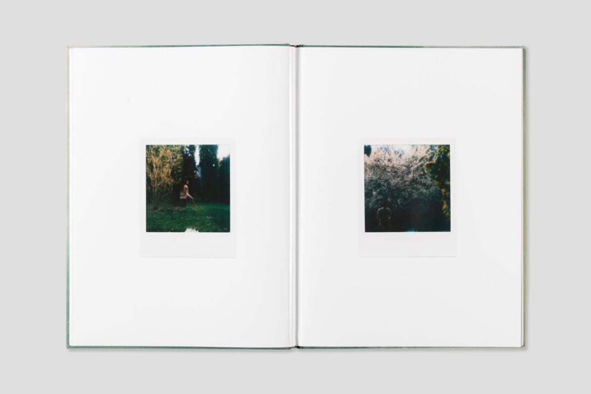 Julien Carreyn - Le Moulin des Ribes - Image 8