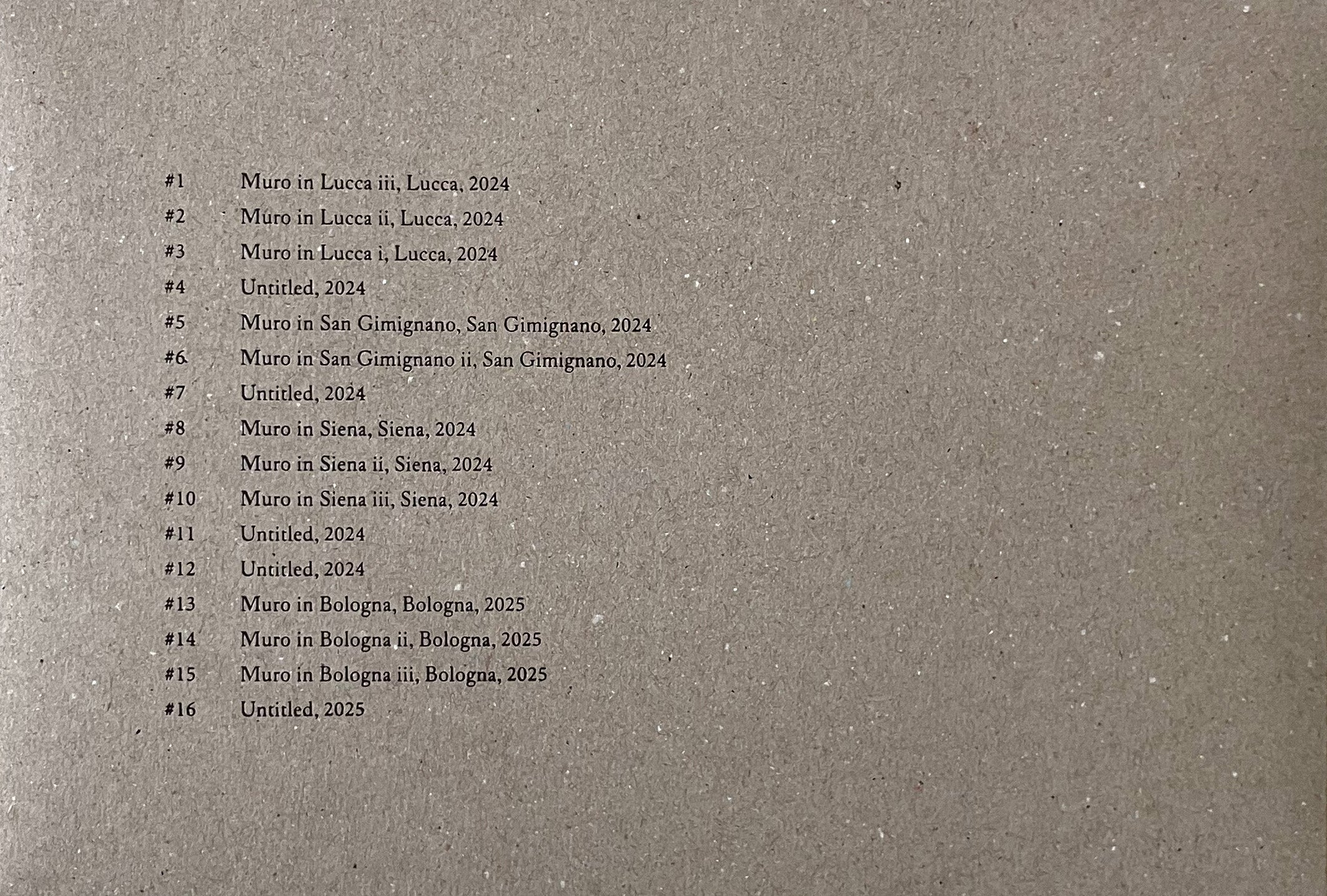 Jun Iwasaki - I MURI IN ITALIA