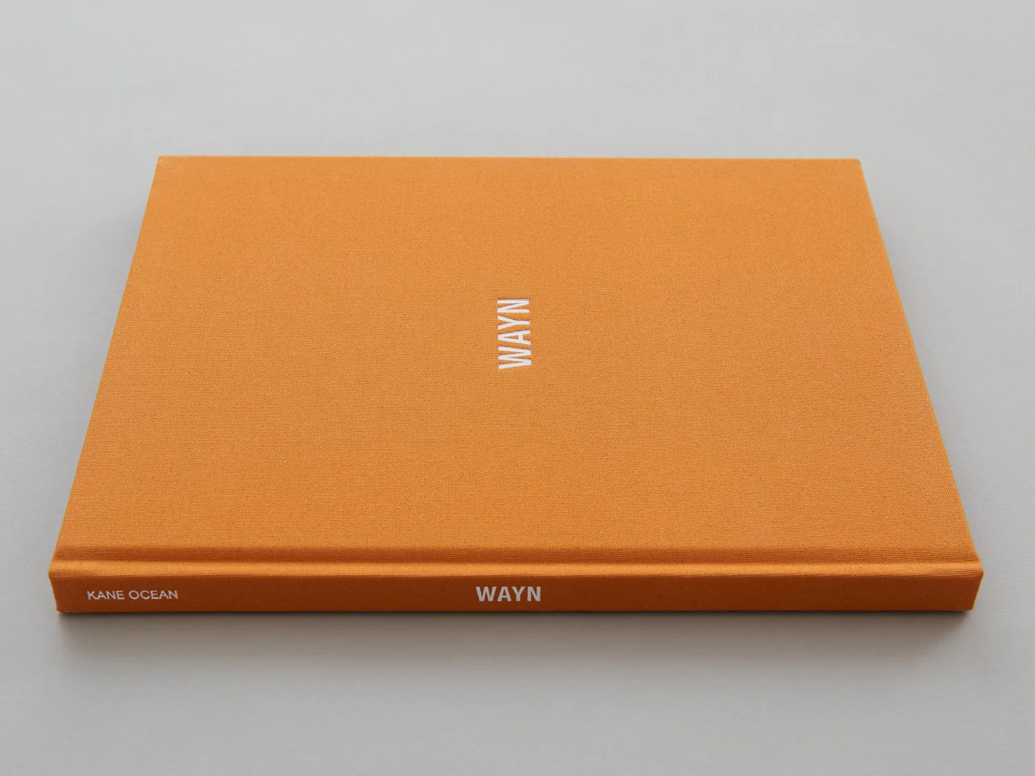 Kane Ocean - WAYN - Image 2