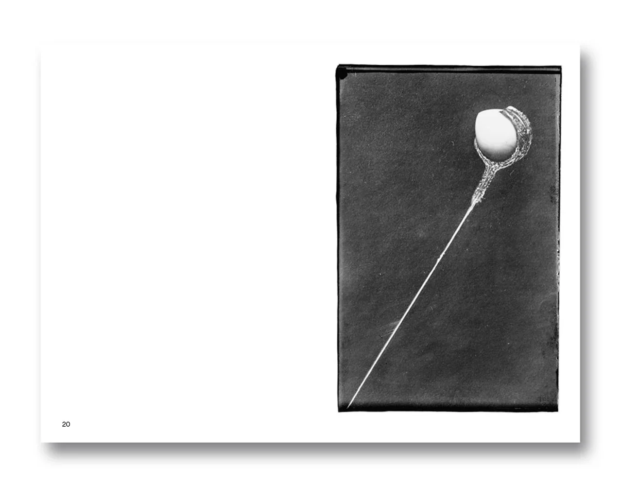Kim Beil - Anonymous Objects: Inscrutable Photographs and the Unknown - Image 6