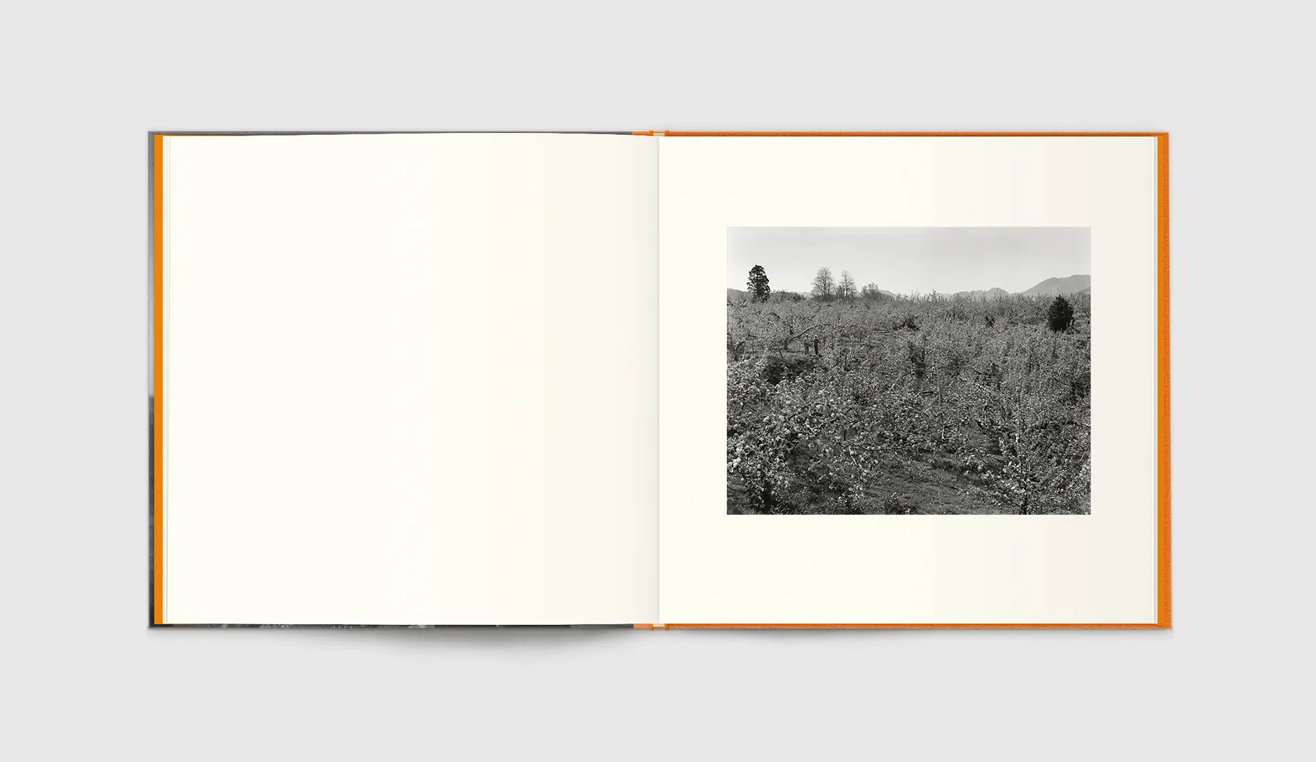 Kozo Miyoshi - A Long Interview with Kozo Miyoshi - Image 13