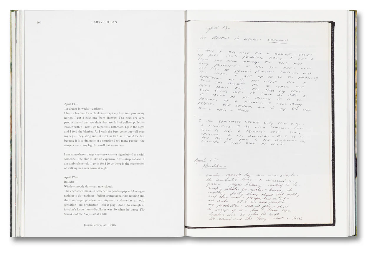Larry Sultan - Water Over Thunder: Selected Writings - Image 19