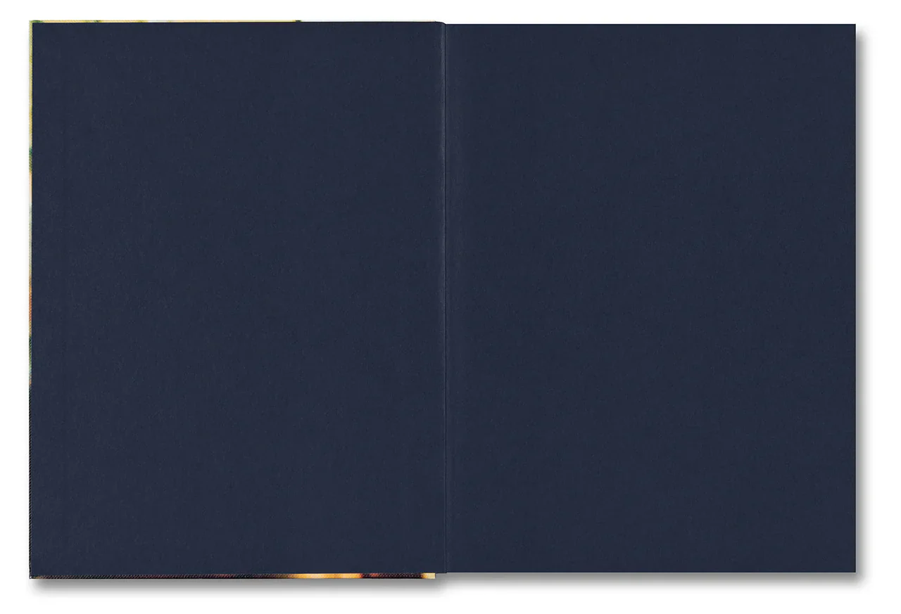 Larry Sultan - Water Over Thunder: Selected Writings - Image 2