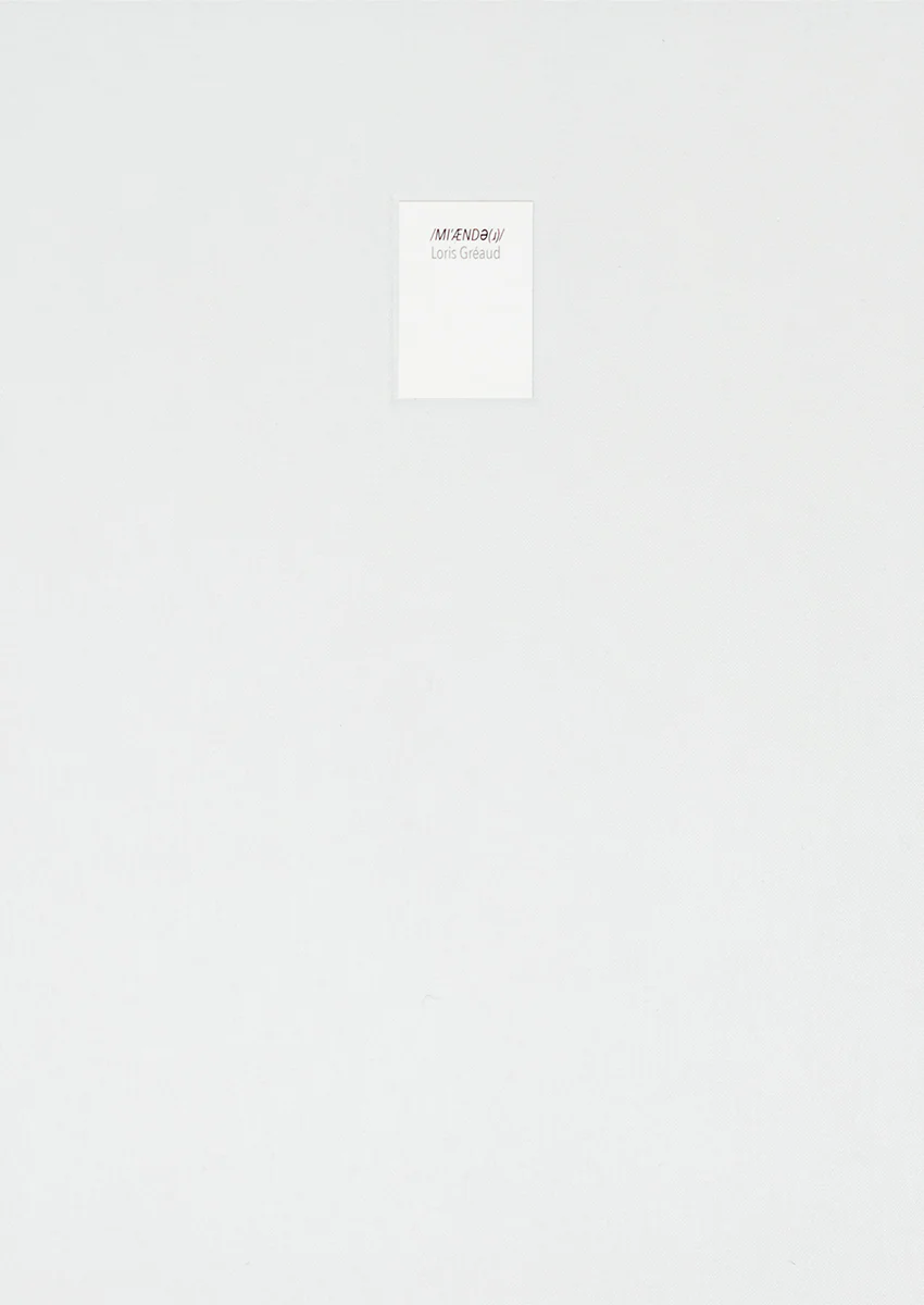 Loris Gréaud - /MIˈÆNDƏ(ɹ)/ Meander