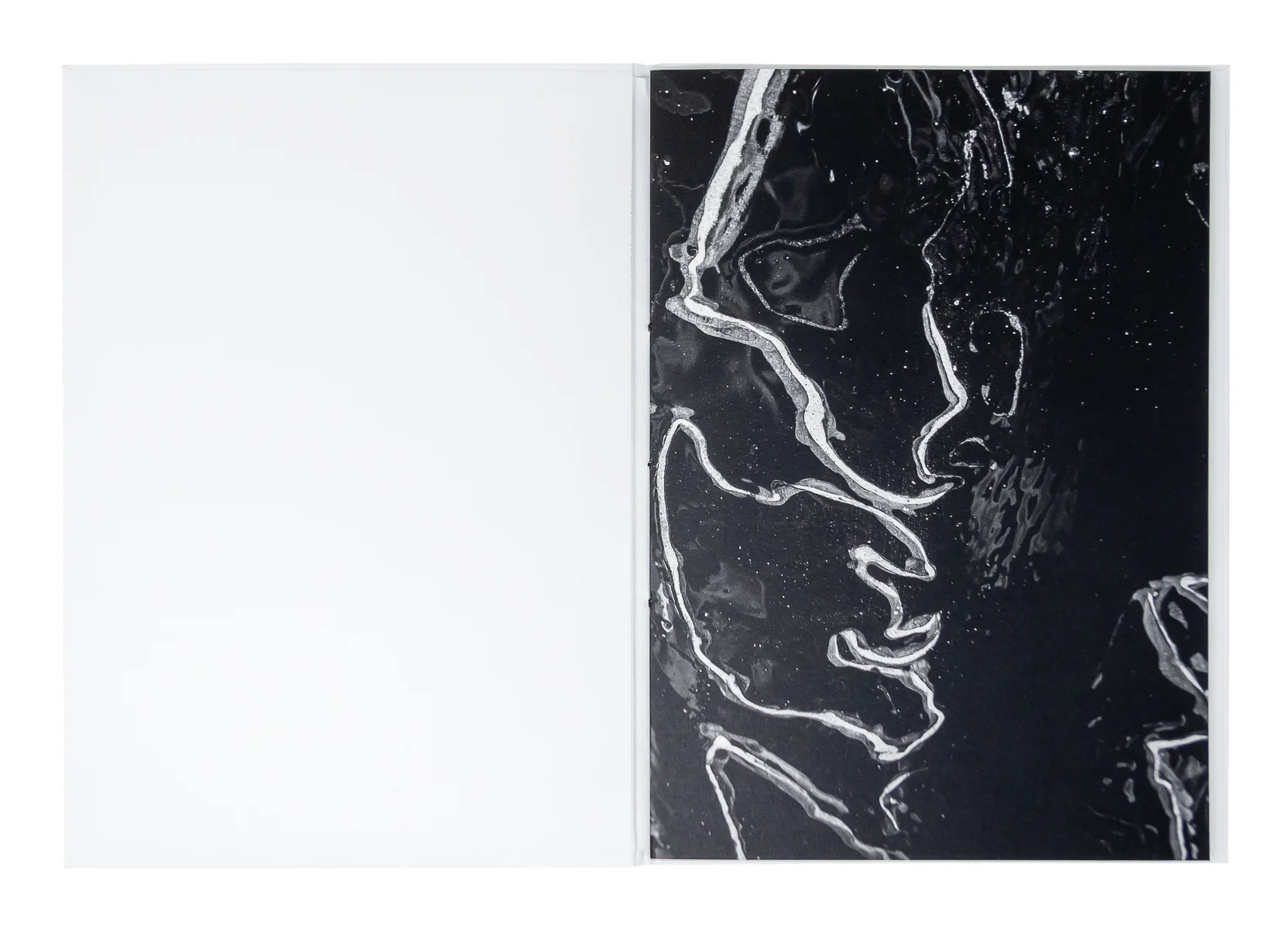 Loris Gréaud - /MIˈÆNDƏ(ɹ)/ Meander - Image 2