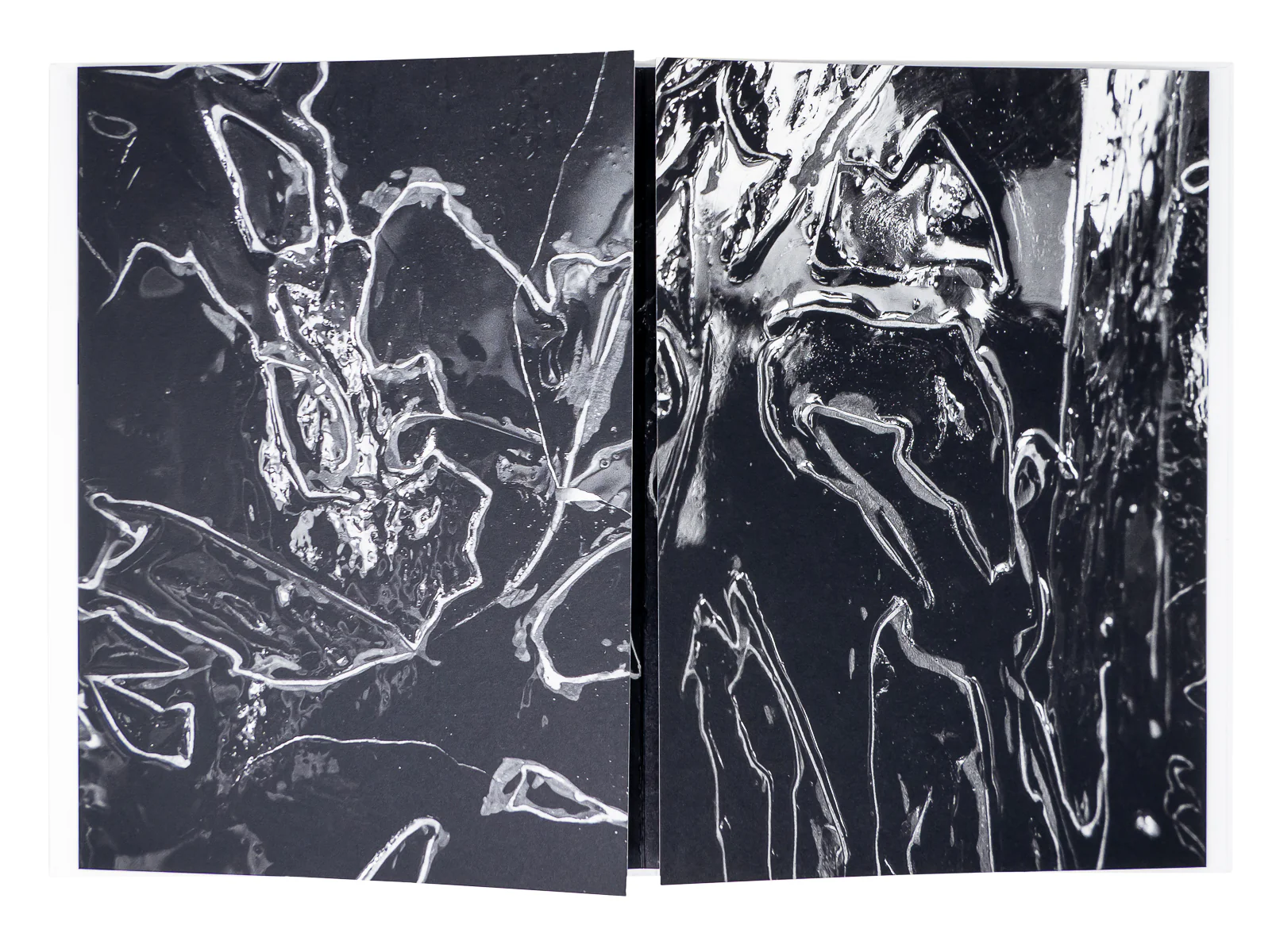 Loris Gréaud - /MIˈÆNDƏ(ɹ)/ Meander - Image 3