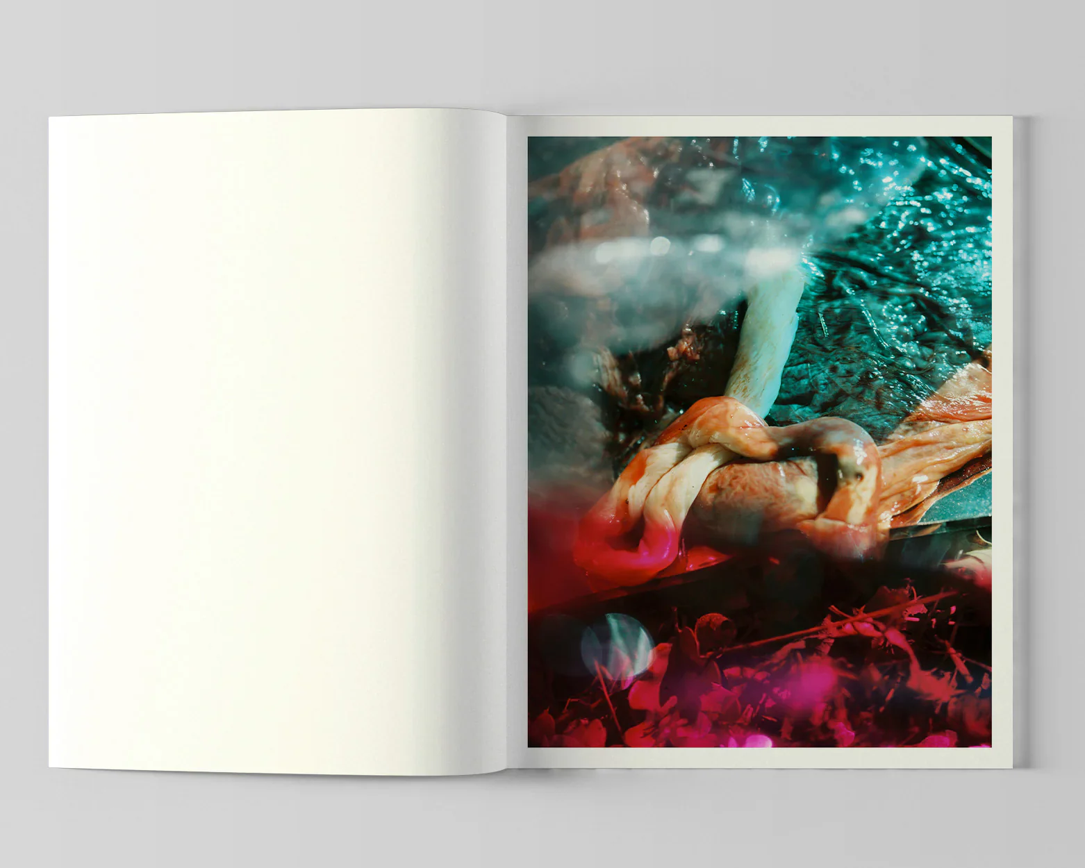 Lucile Boiron - Bouche - Image 3