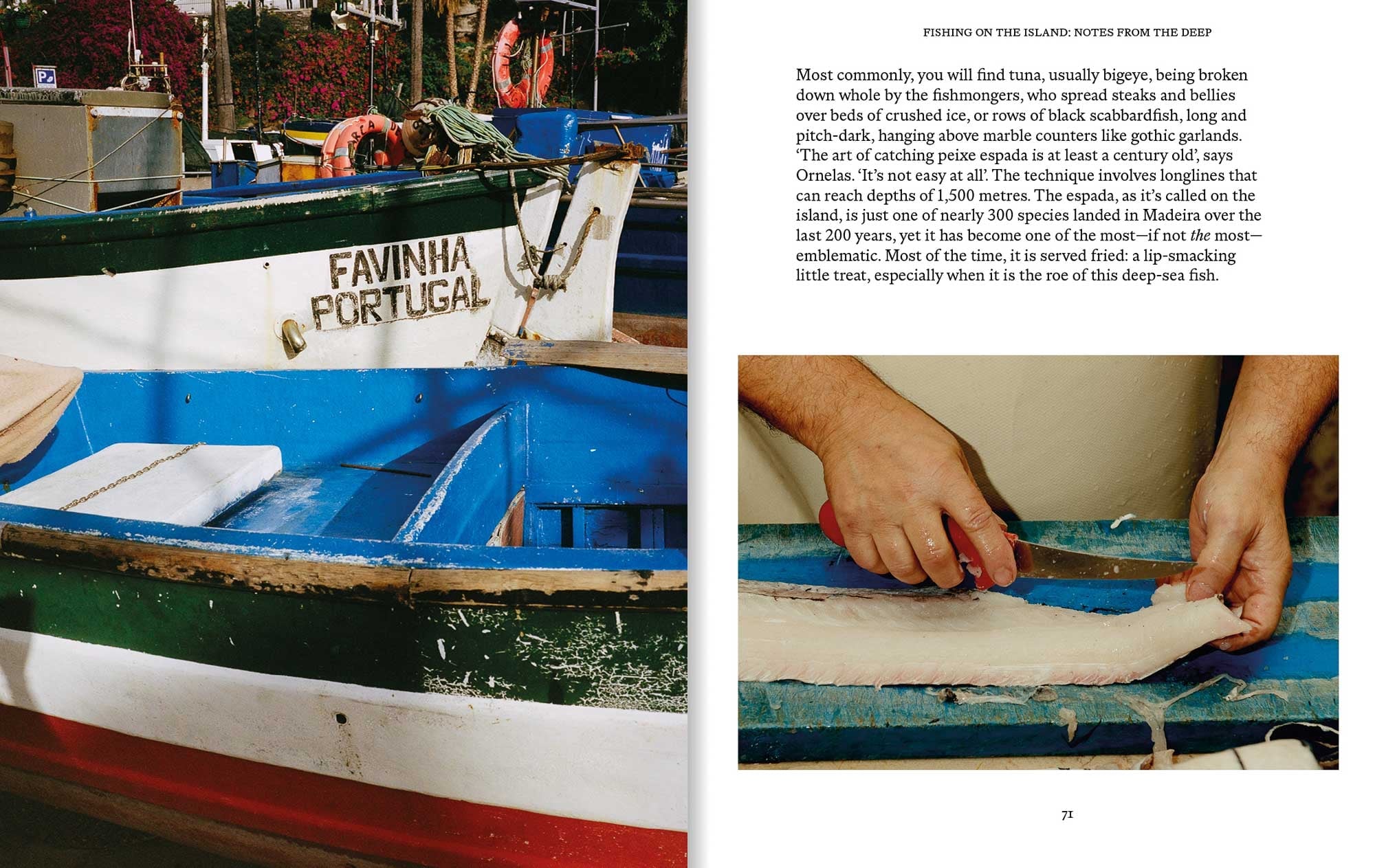 MADEIRA: Recipes & Wanderings on the Atlantic Island of Eternal Spring - Image 10