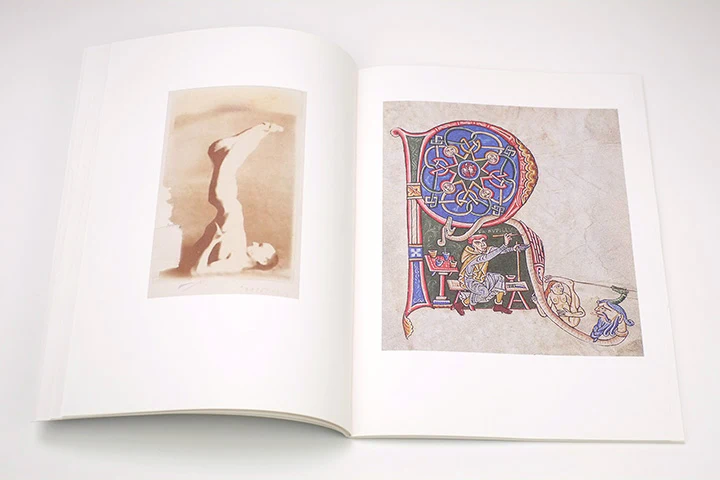 Mark Manders - La Scomparsa degli Sciapodi - Image 3