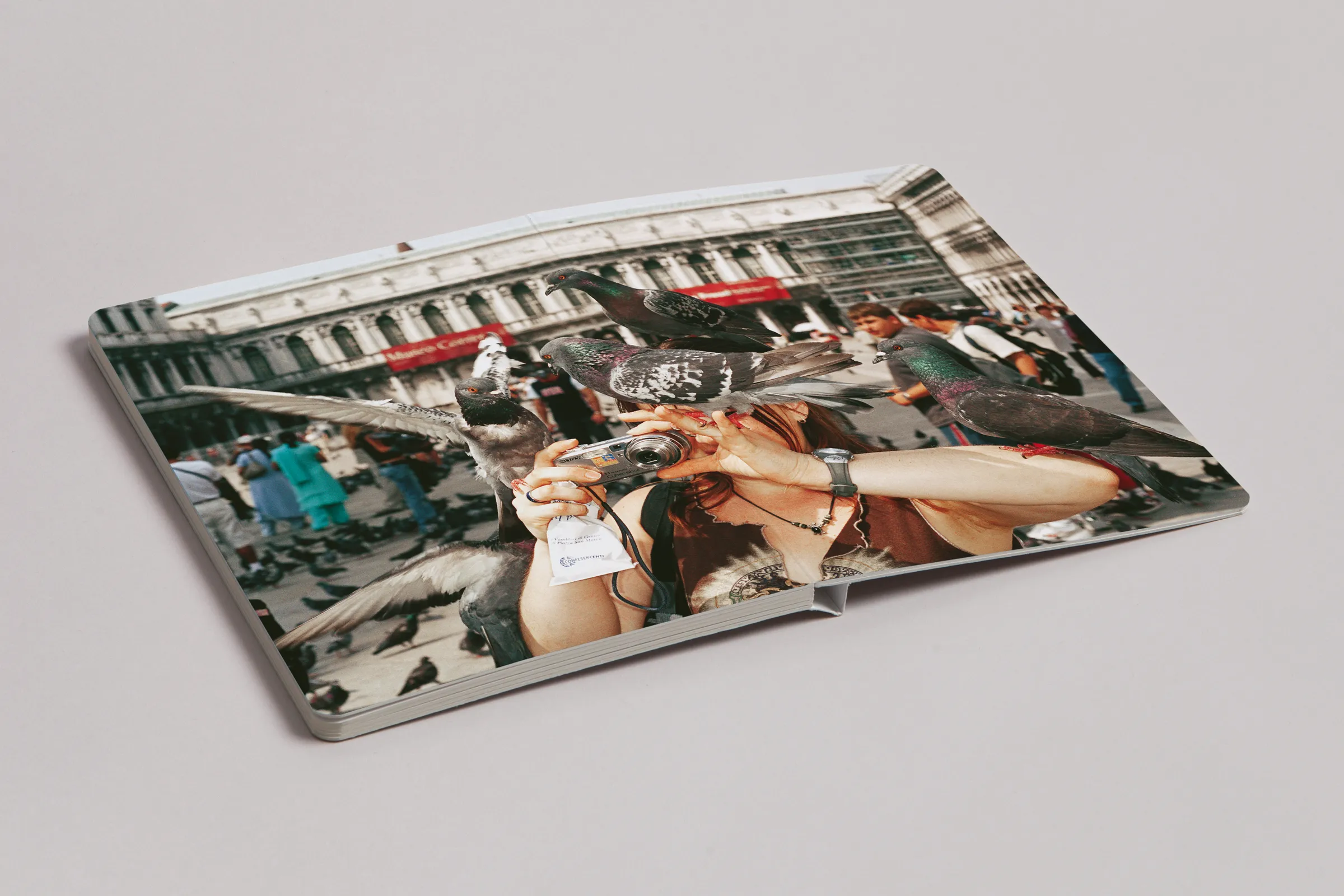 Martin Parr - Animals - Image 5
