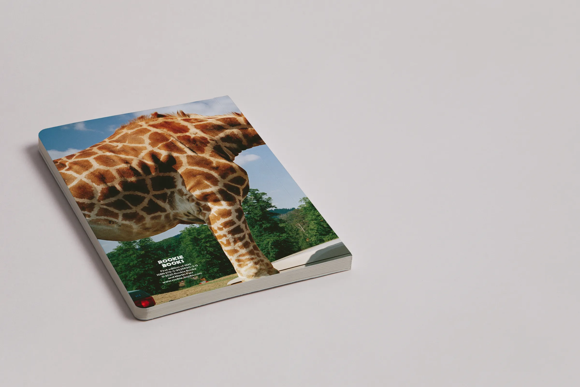 Martin Parr - Animals - Image 6