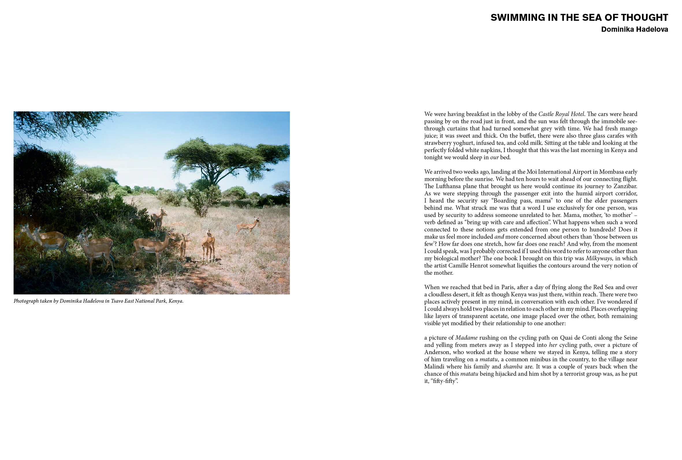 MATTO - Issue 8 - Image 9