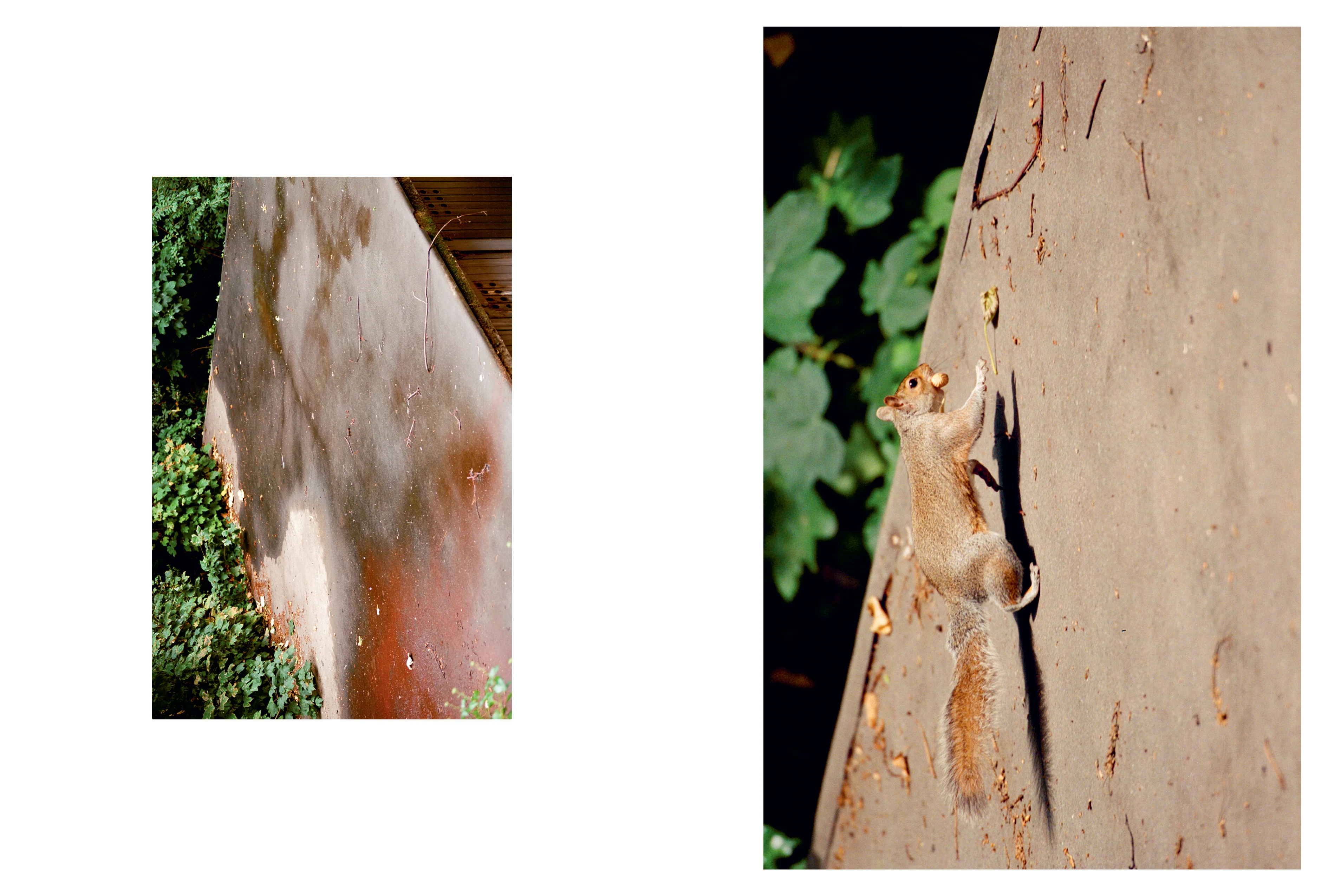 MATTO - Issue 9 - Image 8