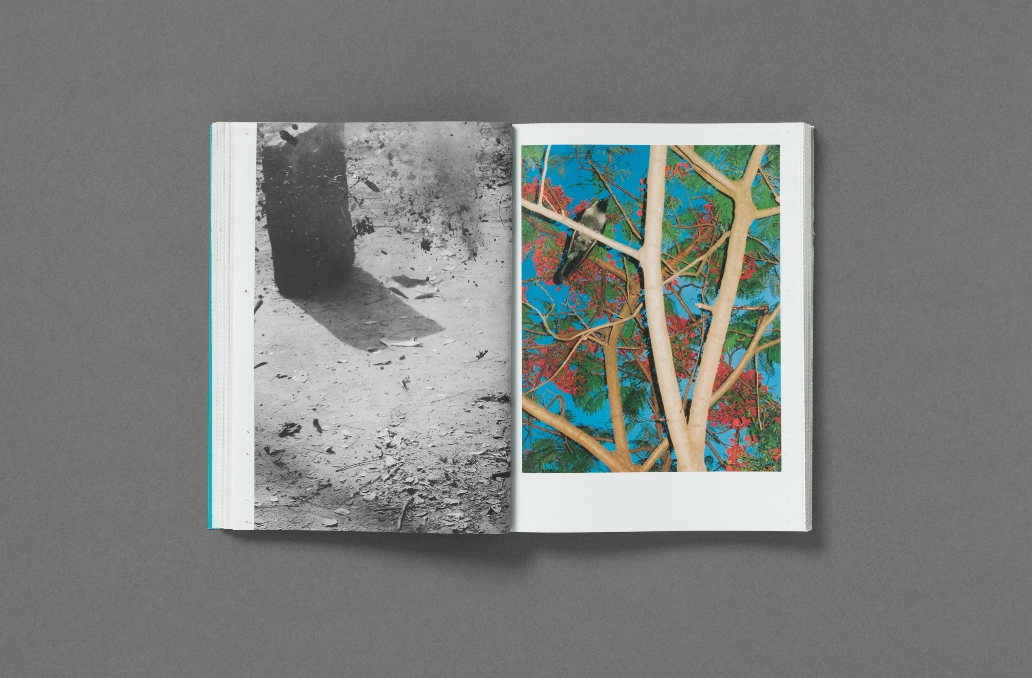 Neither Magazine - Vol. 1 - Image 10