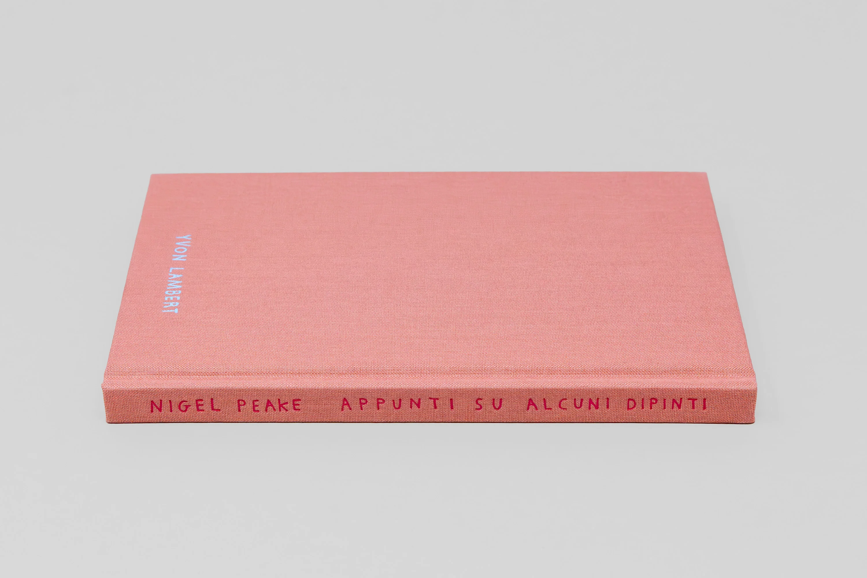 Nigel Peake - Appunti Su Alcuni Dipinti - Image 15