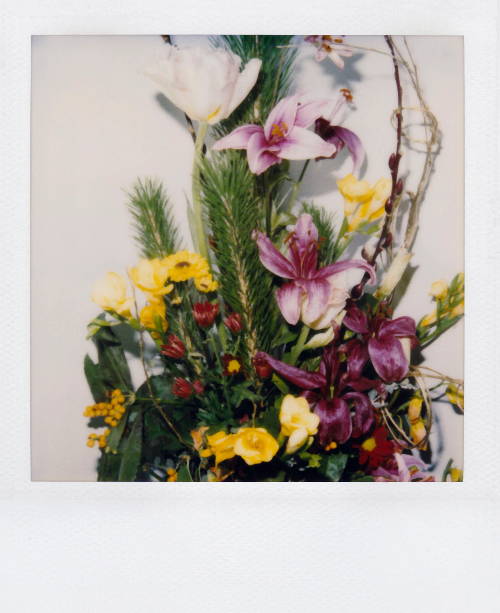 Nobuyoshi Araki <br><em>Flower</em>, 2006-2009 - Image 10