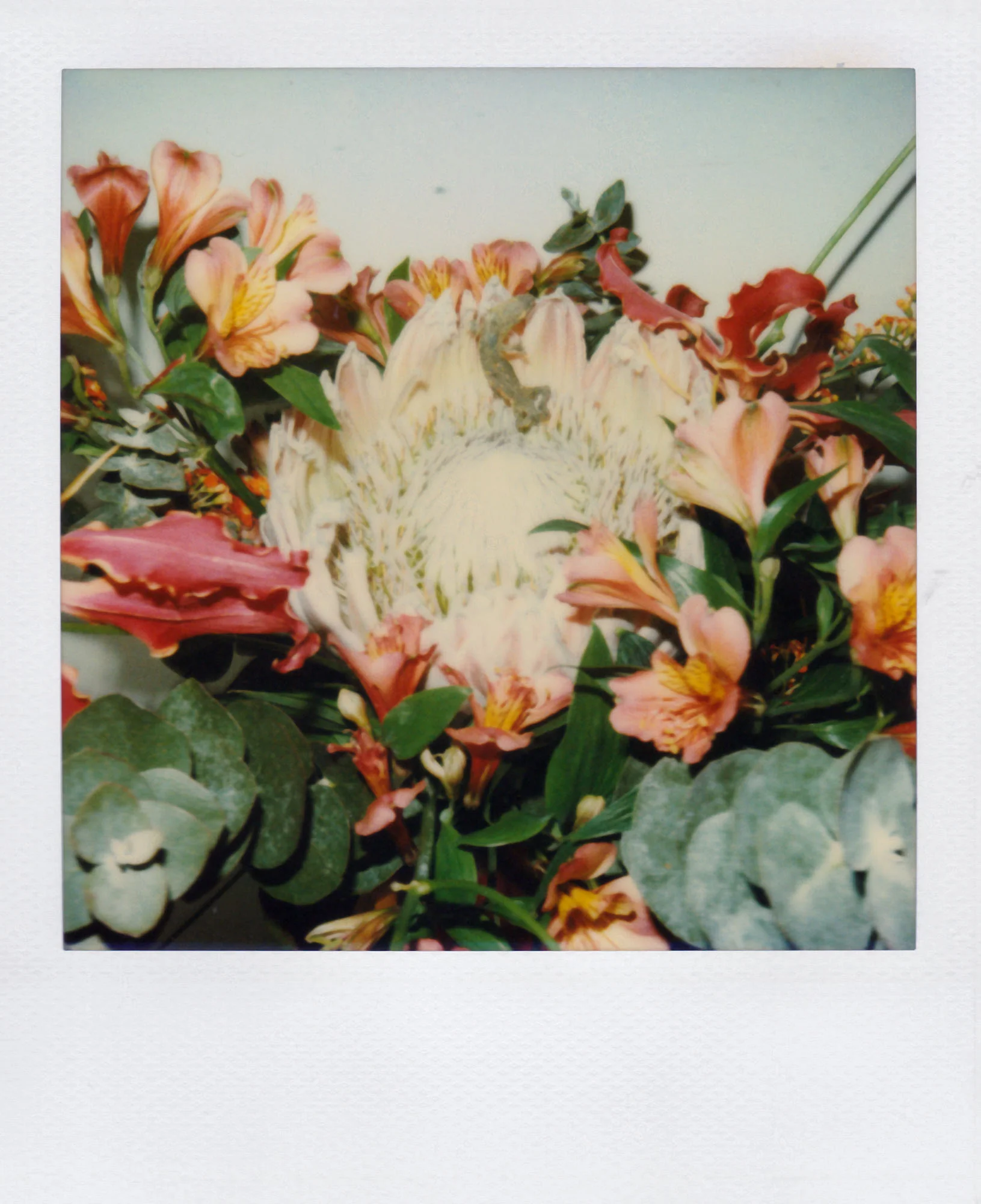 Nobuyoshi Araki <br><em>Flower</em>, 2006-2009 - Image 12