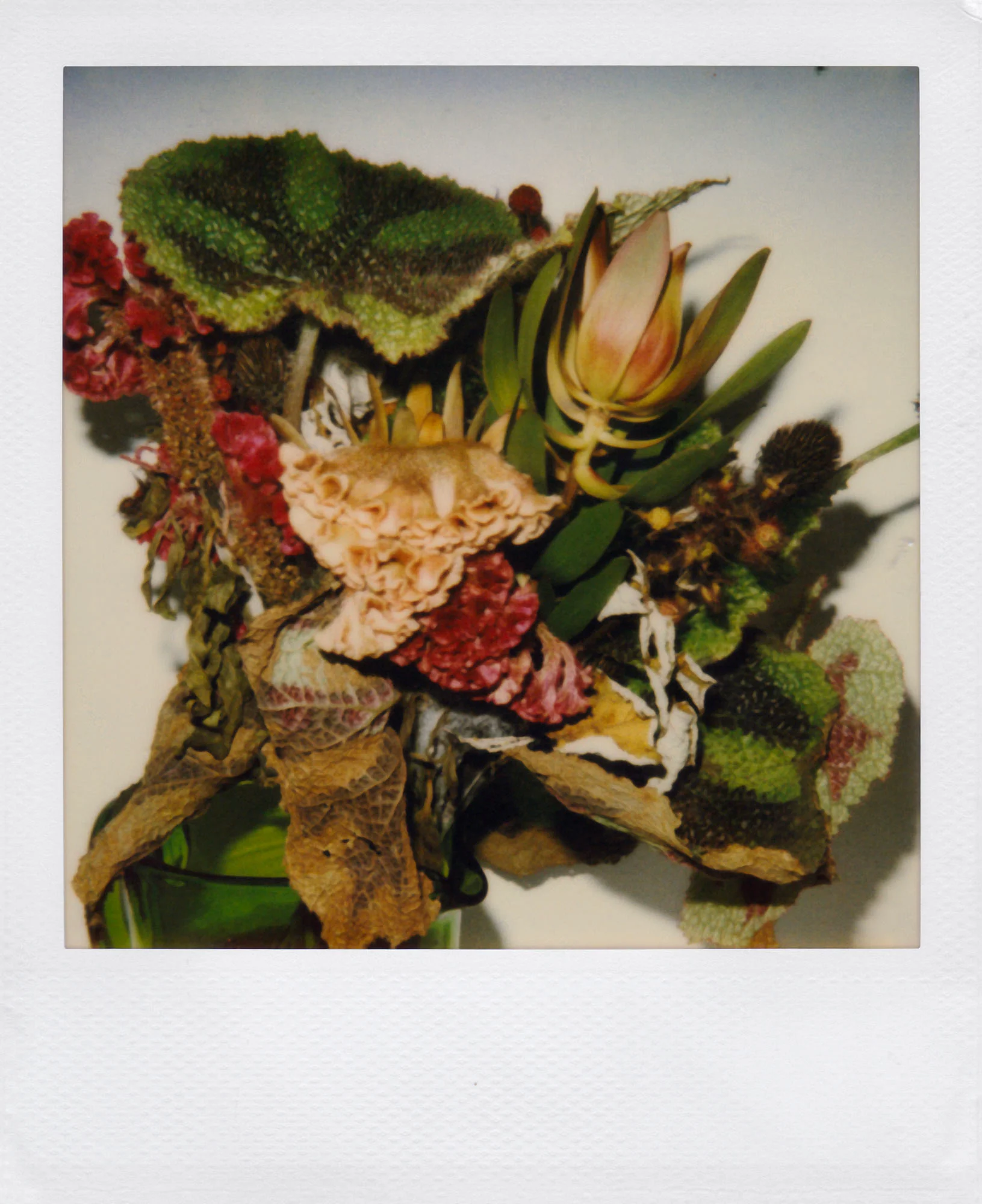 Nobuyoshi Araki <br><em>Flower</em>, 2006-2009 - Image 16