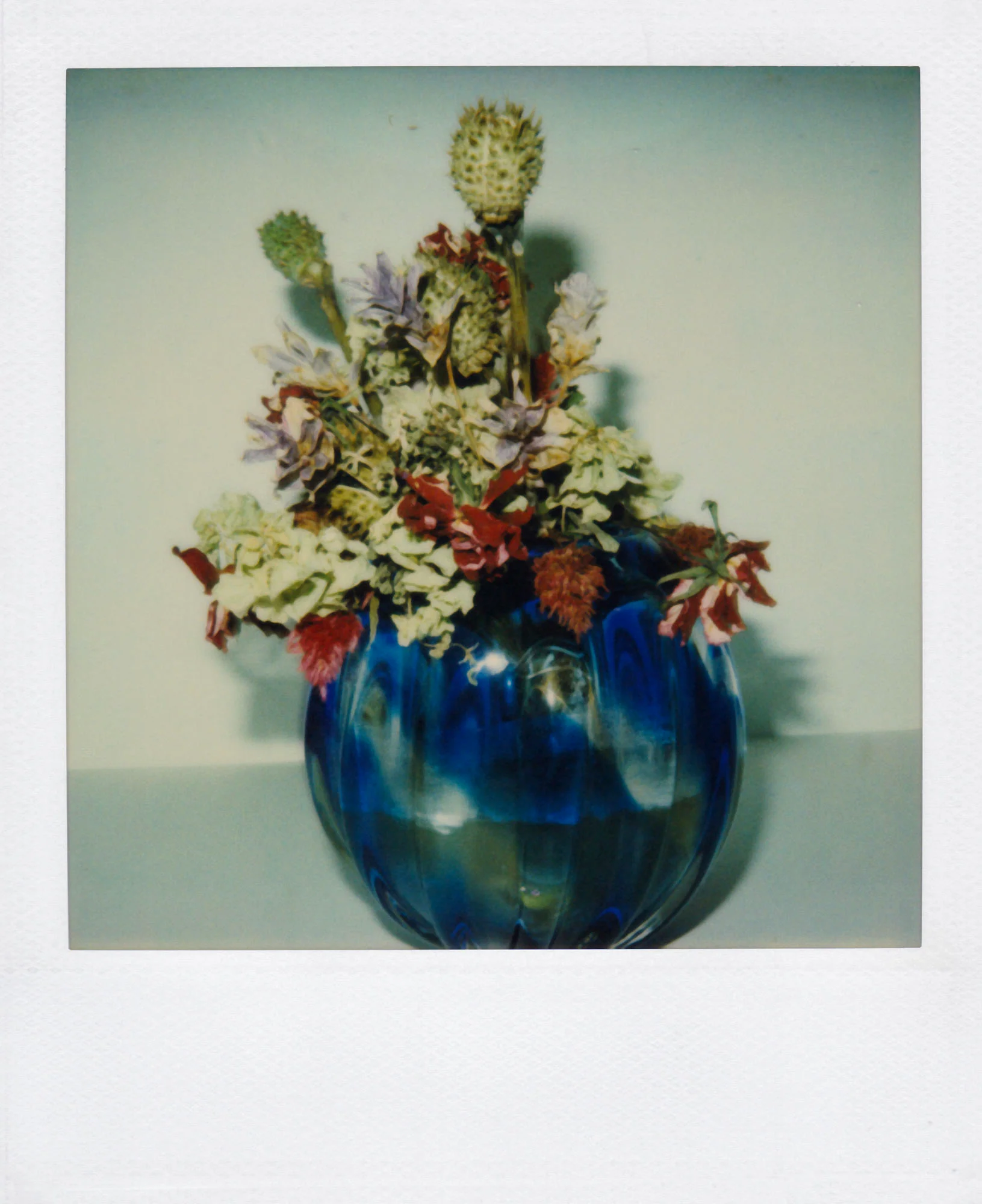 Nobuyoshi Araki <br><em>Flower</em>, 2006-2009 - Image 18