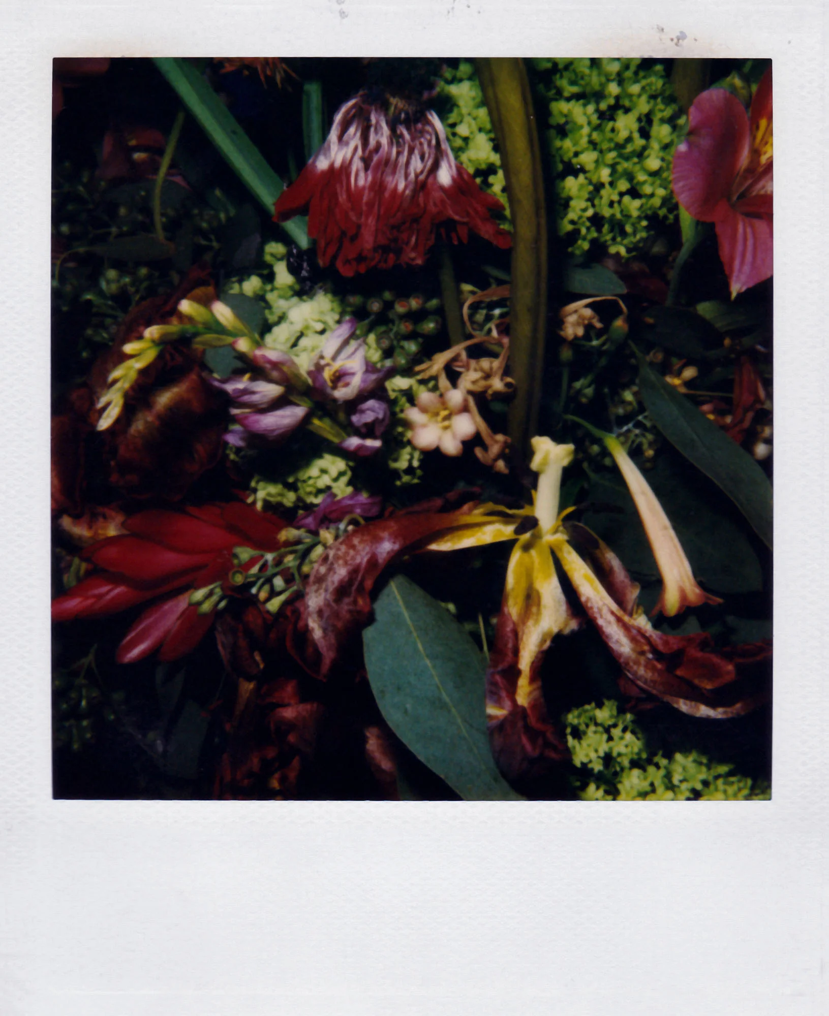 Nobuyoshi Araki <br><em>Flower</em>, 2006-2009 - Image 22