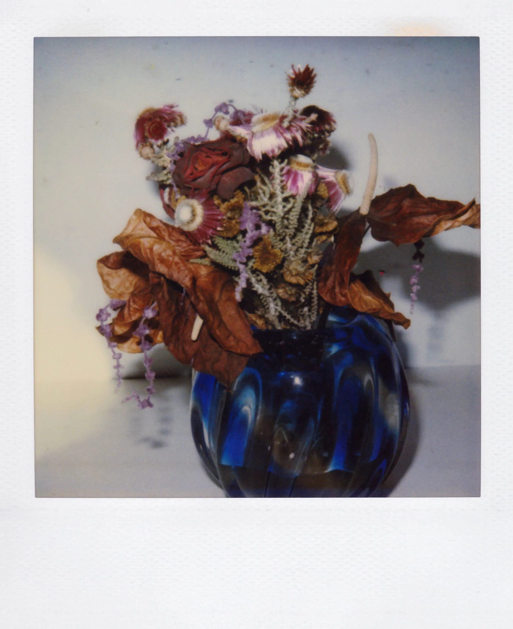 Nobuyoshi Araki <br><em>Flower</em>, 2006-2009 - Image 23
