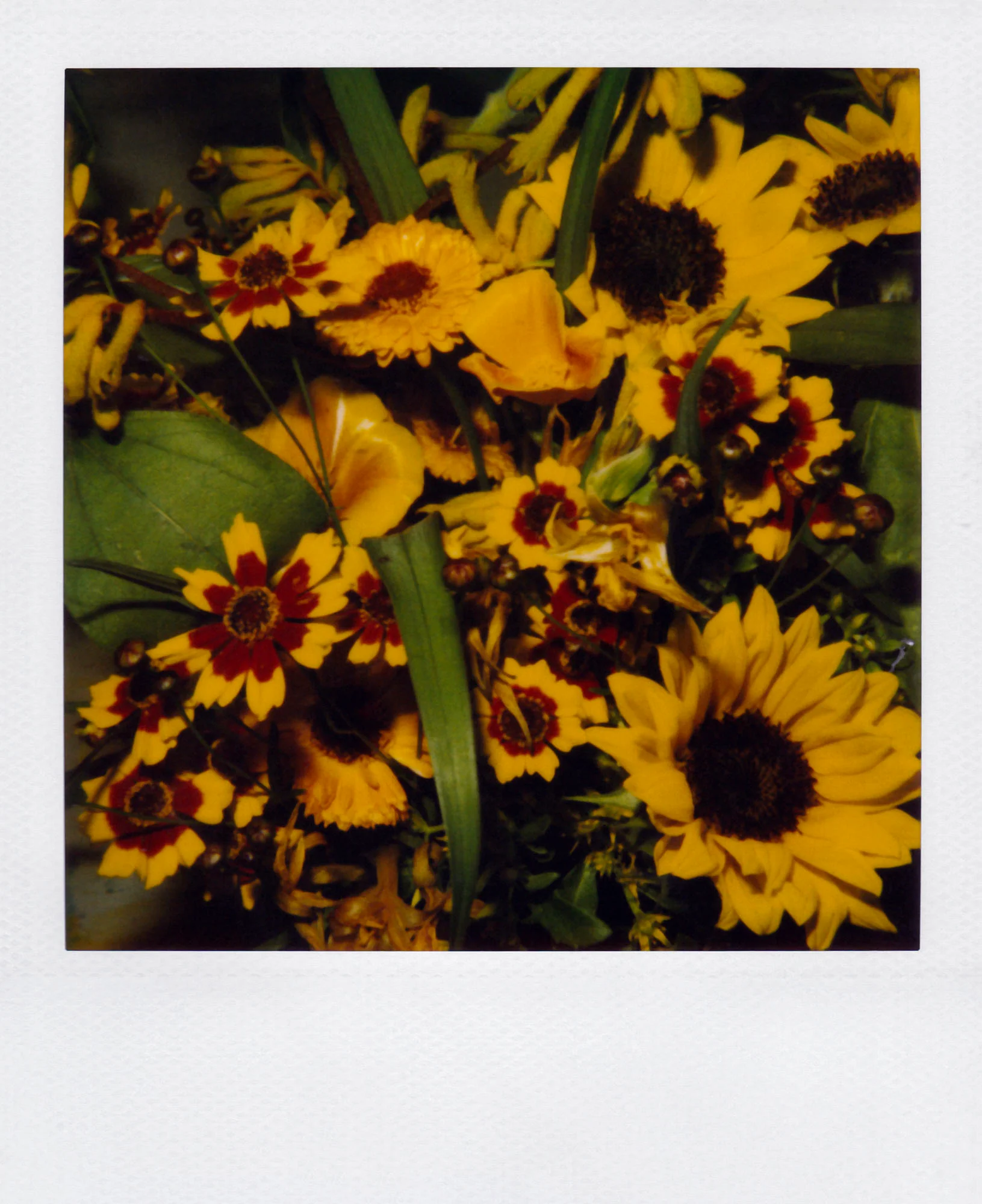 Nobuyoshi Araki <br><em>Flower</em>, 2006-2009 - Image 24